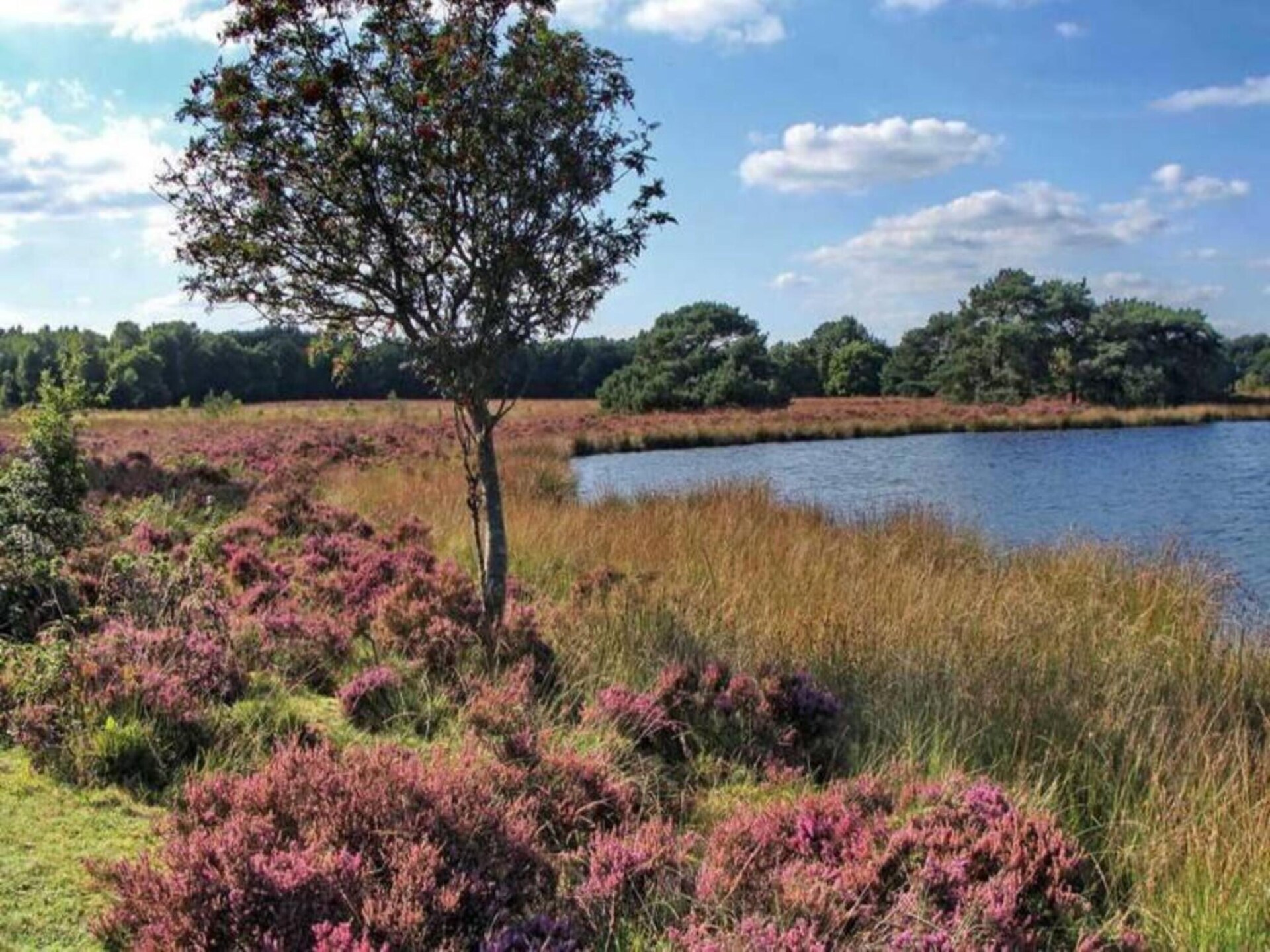 Vrijstaand vakantiehuis met panoramisch uitzicht op het Mantingerzand - foto 40