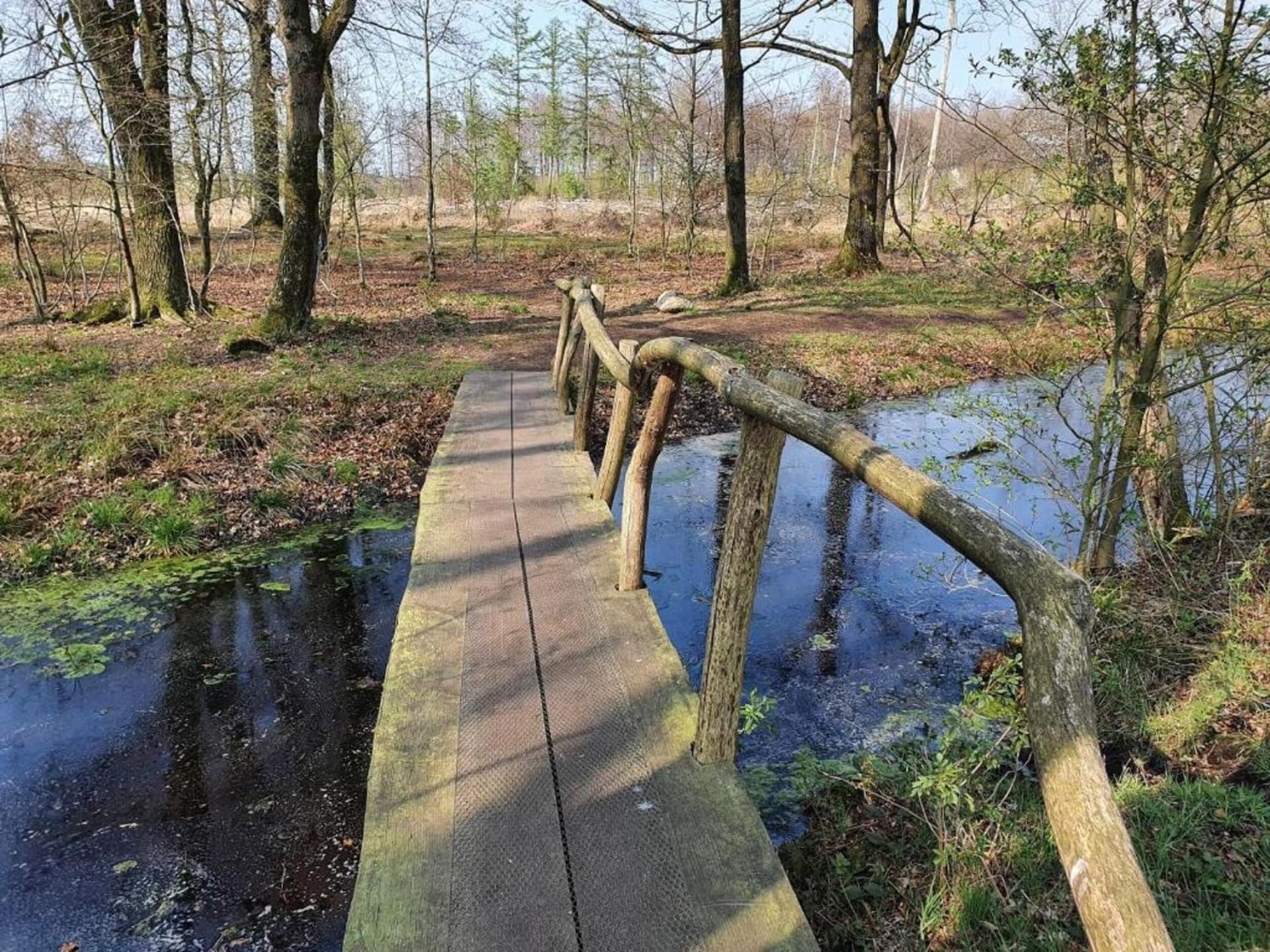 Vrijstaand vakantiehuis met panoramisch uitzicht op het Mantingerzand - foto 25