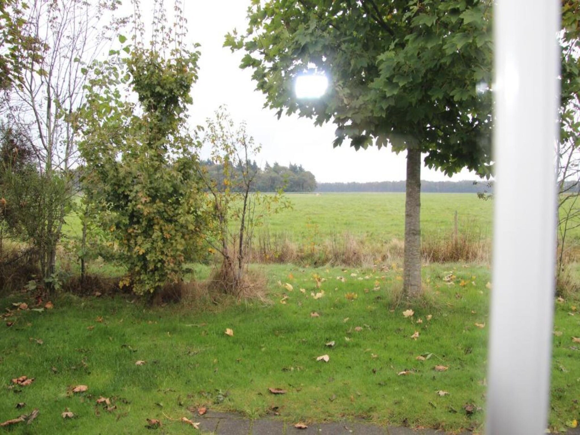Vrijstaand vakantiehuis met panoramisch uitzicht op het Mantingerzand - foto 38
