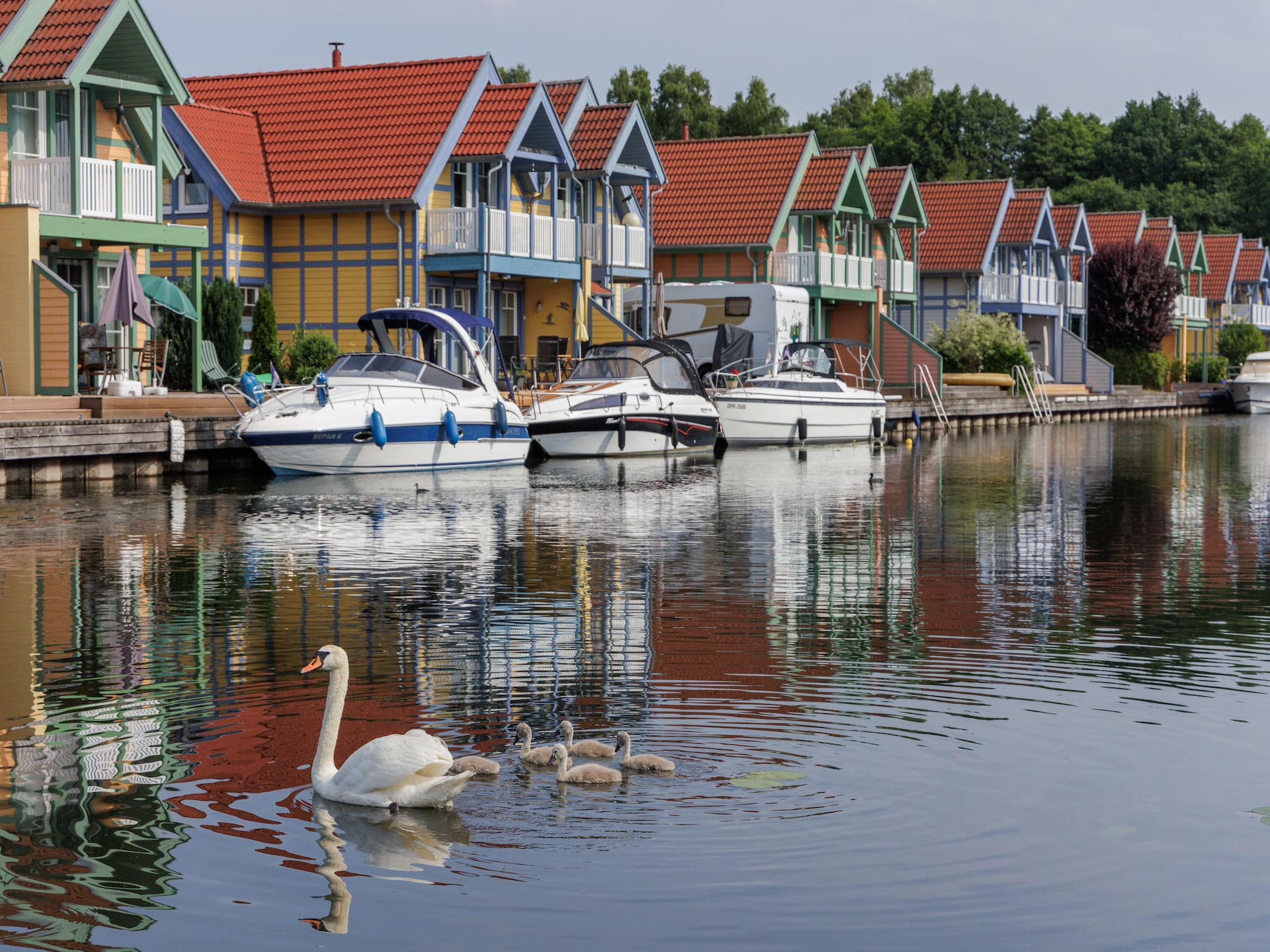 Waterwoning voor 6 personen met eigen steiger in Hafendorf Rheinsberg - foto 14