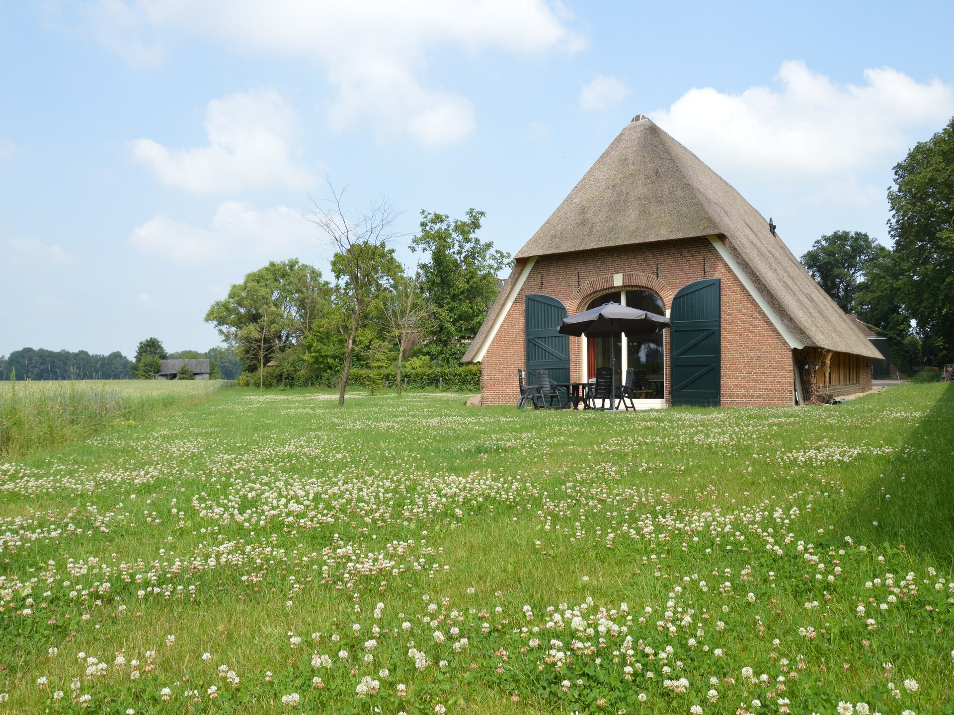 Sfeervolle boerderij in Geesteren: rust, natuur en huisdiervriendelijk genieten - foto 16