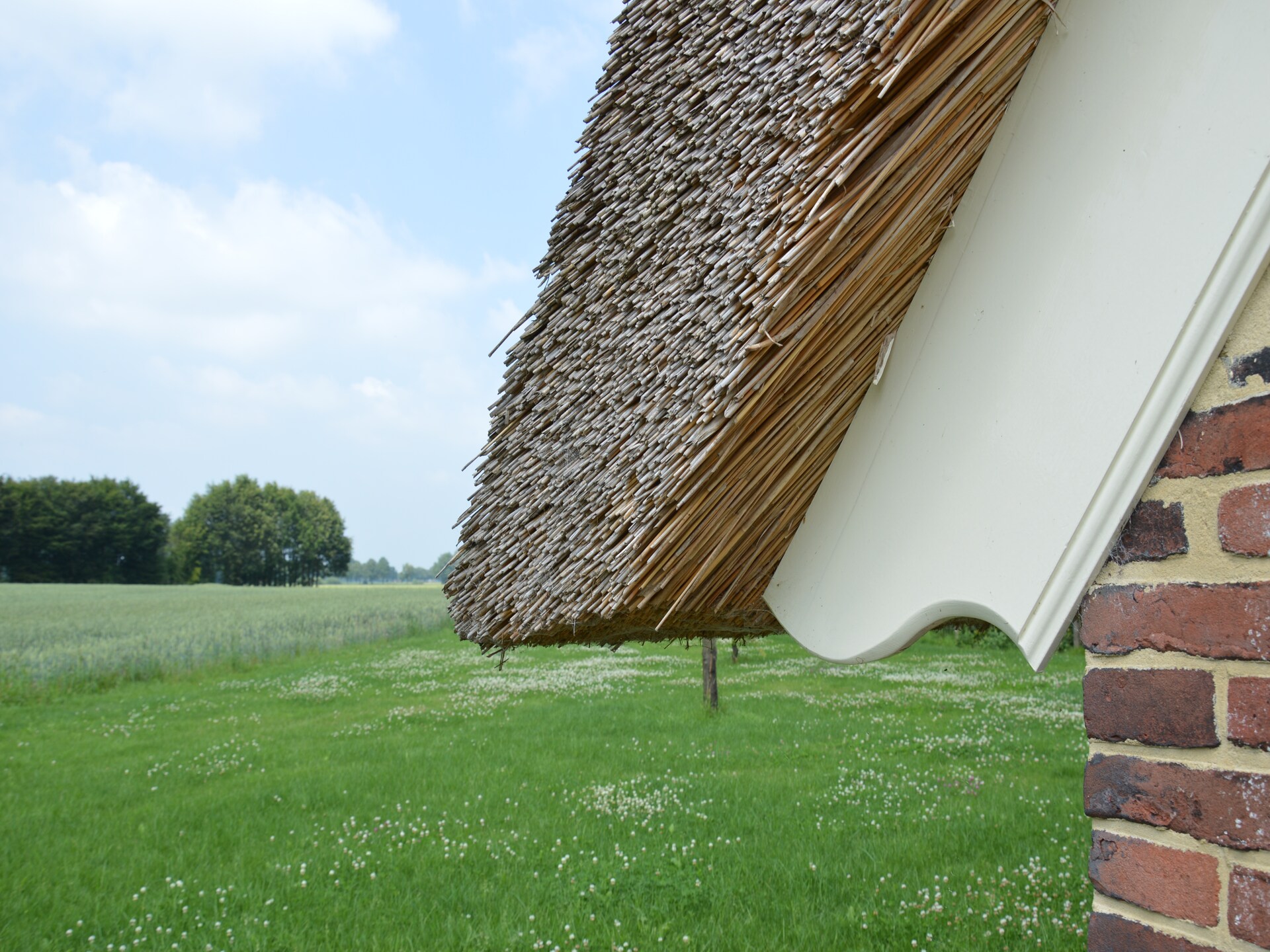 Sfeervolle boerderij in Geesteren: rust, natuur en huisdiervriendelijk genieten - foto 36