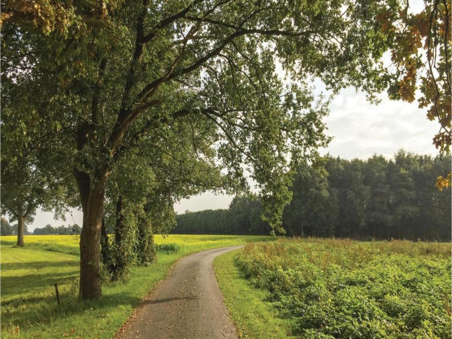 Sfeervolle boerderij in Geesteren: rust, natuur en huisdiervriendelijk genieten - foto 29