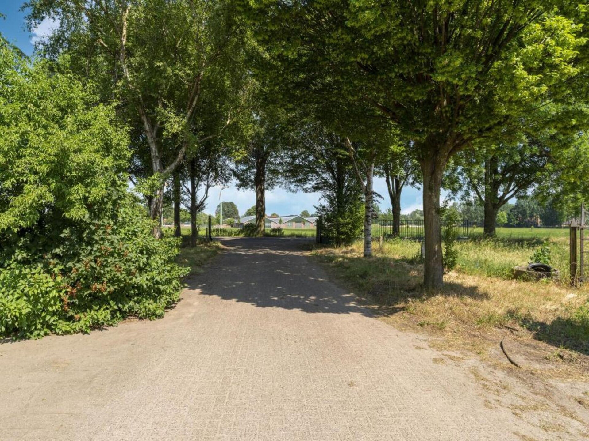 Sfeervolle boerderij in Geesteren: rust, natuur en huisdiervriendelijk genieten - foto 32