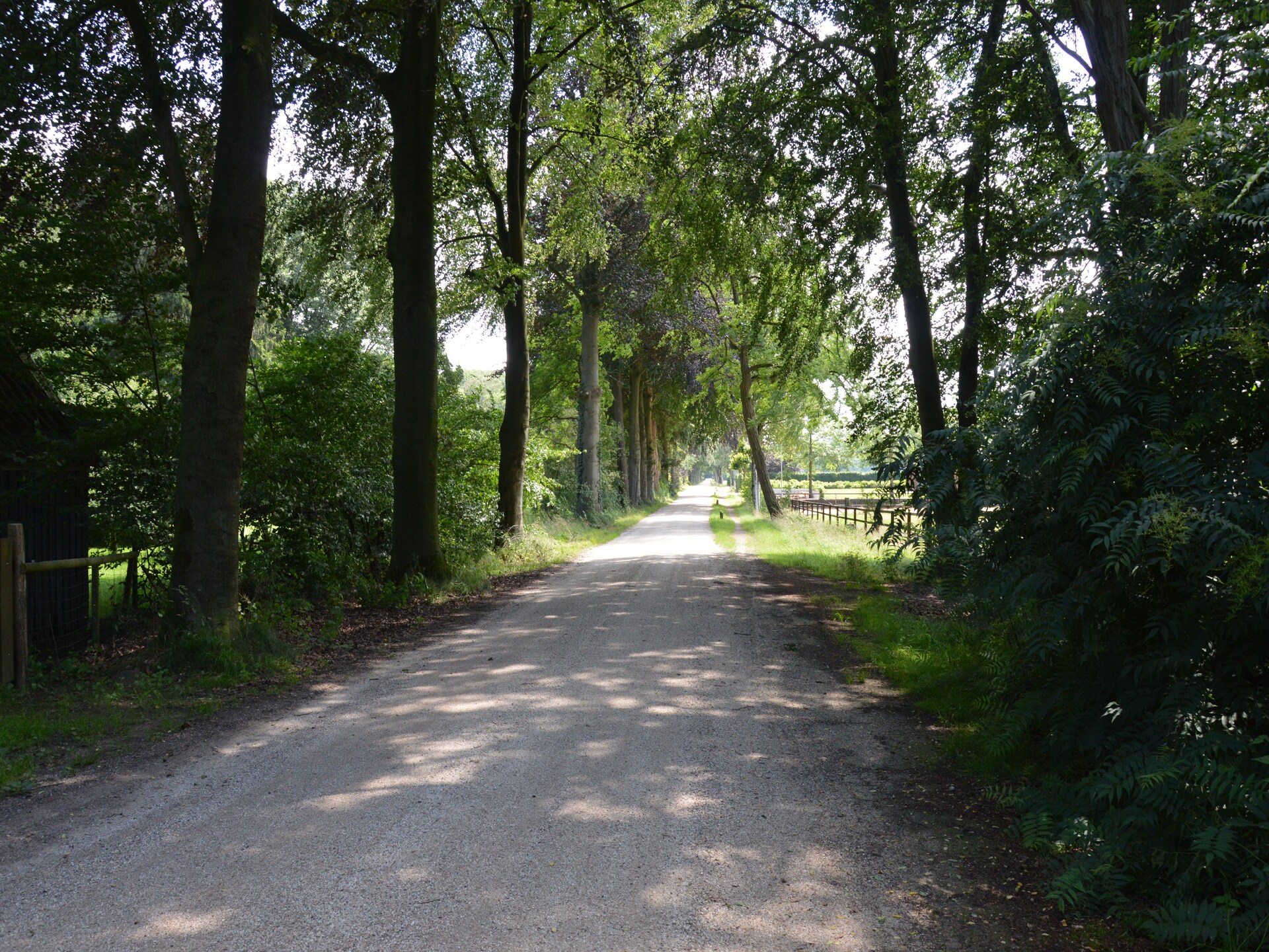 Landelijk vakantiehuis aan bosrand in Achterhoek met golfbaan nabij - foto 23