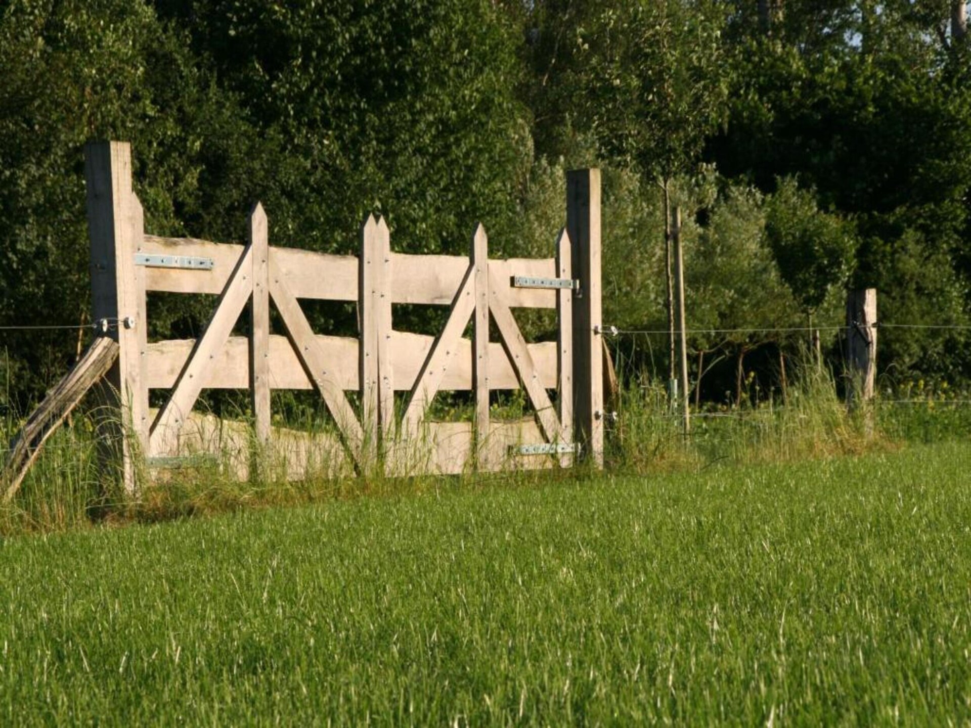 Landelijk vakantiehuis aan bosrand in Achterhoek met golfbaan nabij - foto 26