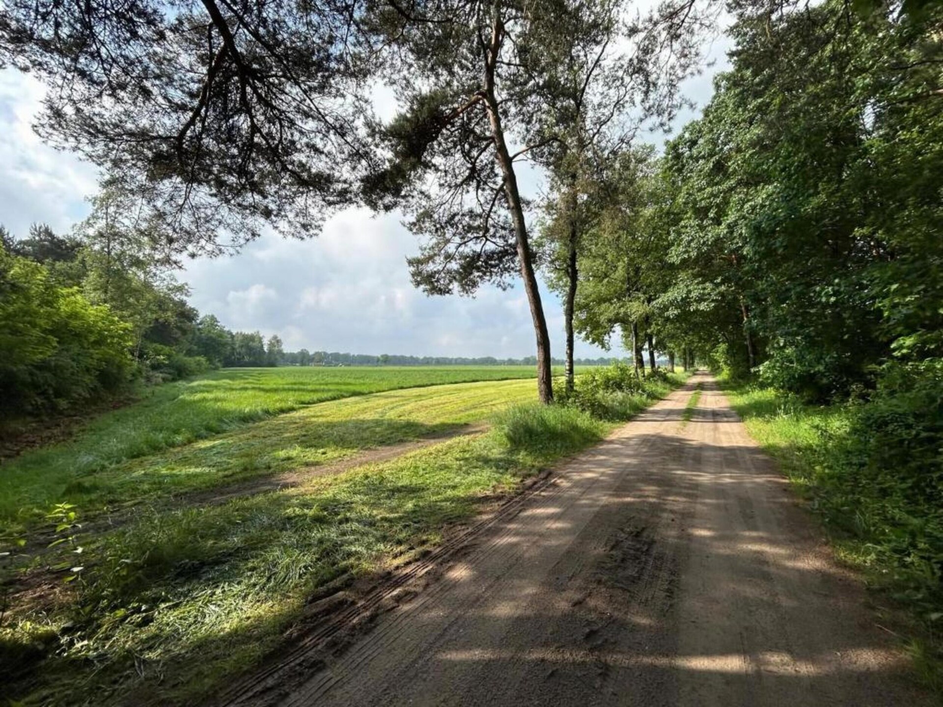 Landelijk vakantiehuis aan bosrand in Achterhoek met golfbaan nabij - foto 25