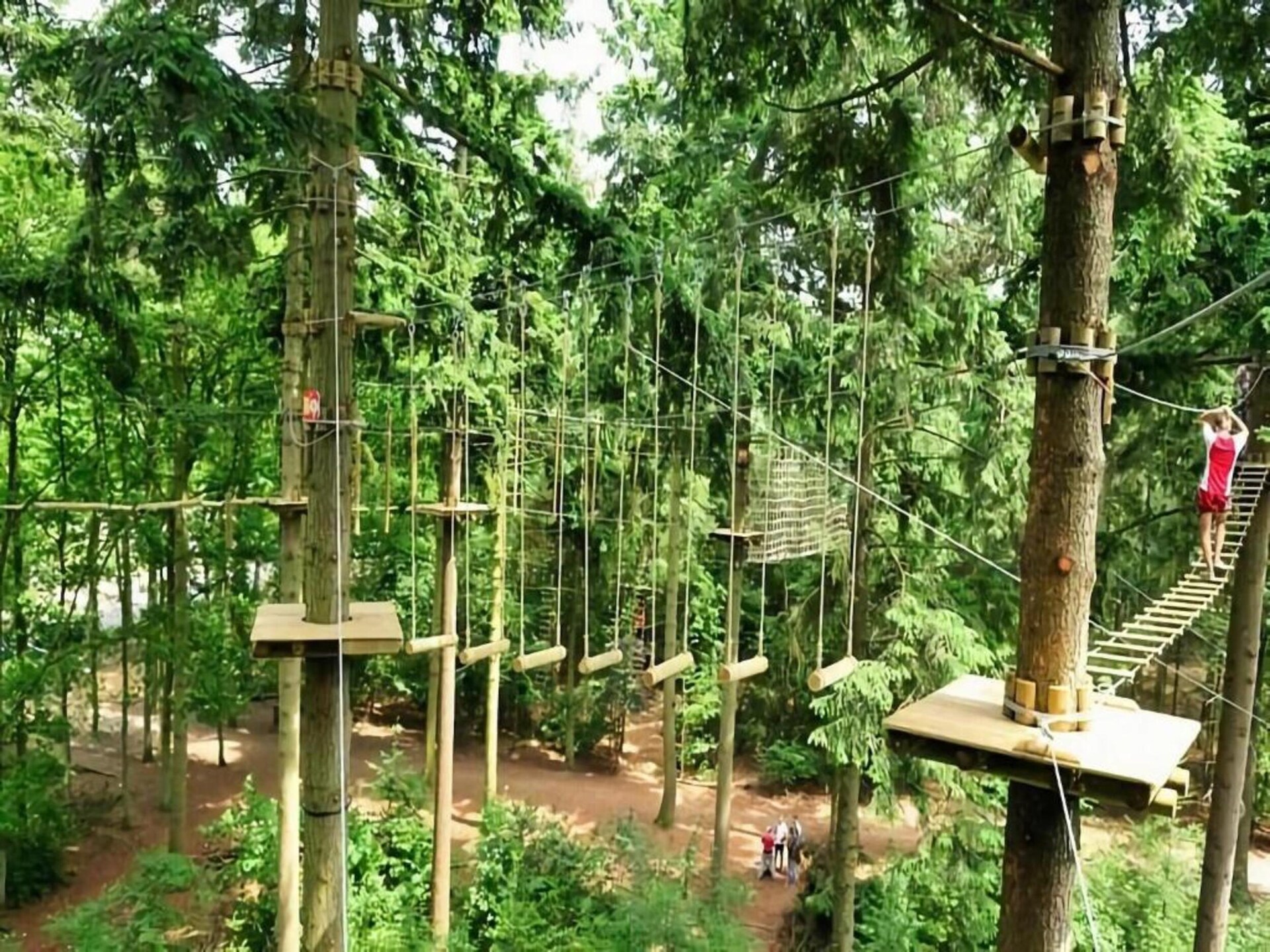 Landelijk vakantiehuis aan bosrand in Achterhoek met golfbaan nabij - foto 36