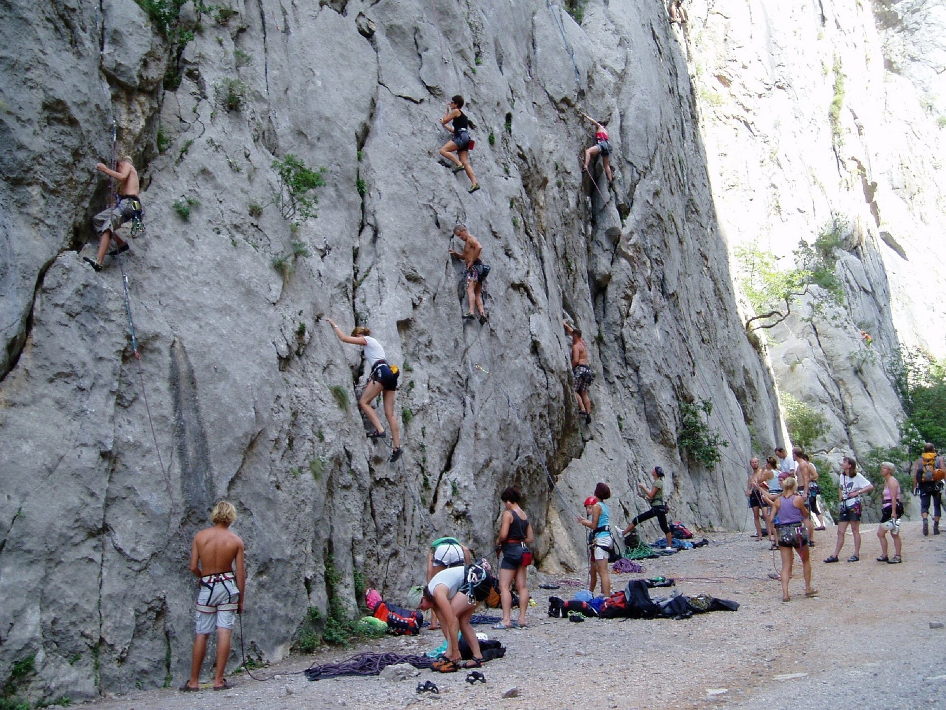 Knus bosappartement op 300m van zee in Starigrad Paklenica - foto 22