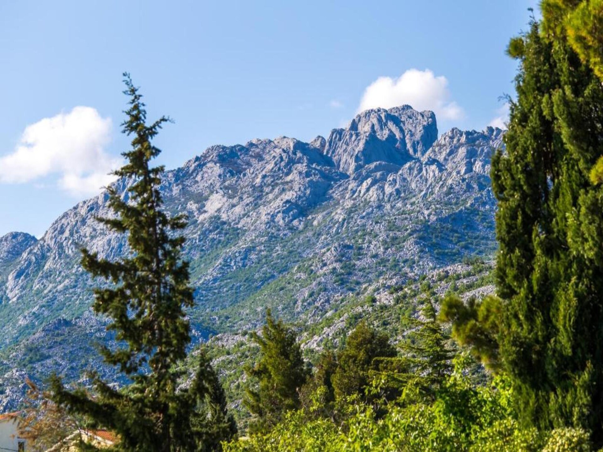Knus bosappartement op 300m van zee in Starigrad Paklenica - foto 28