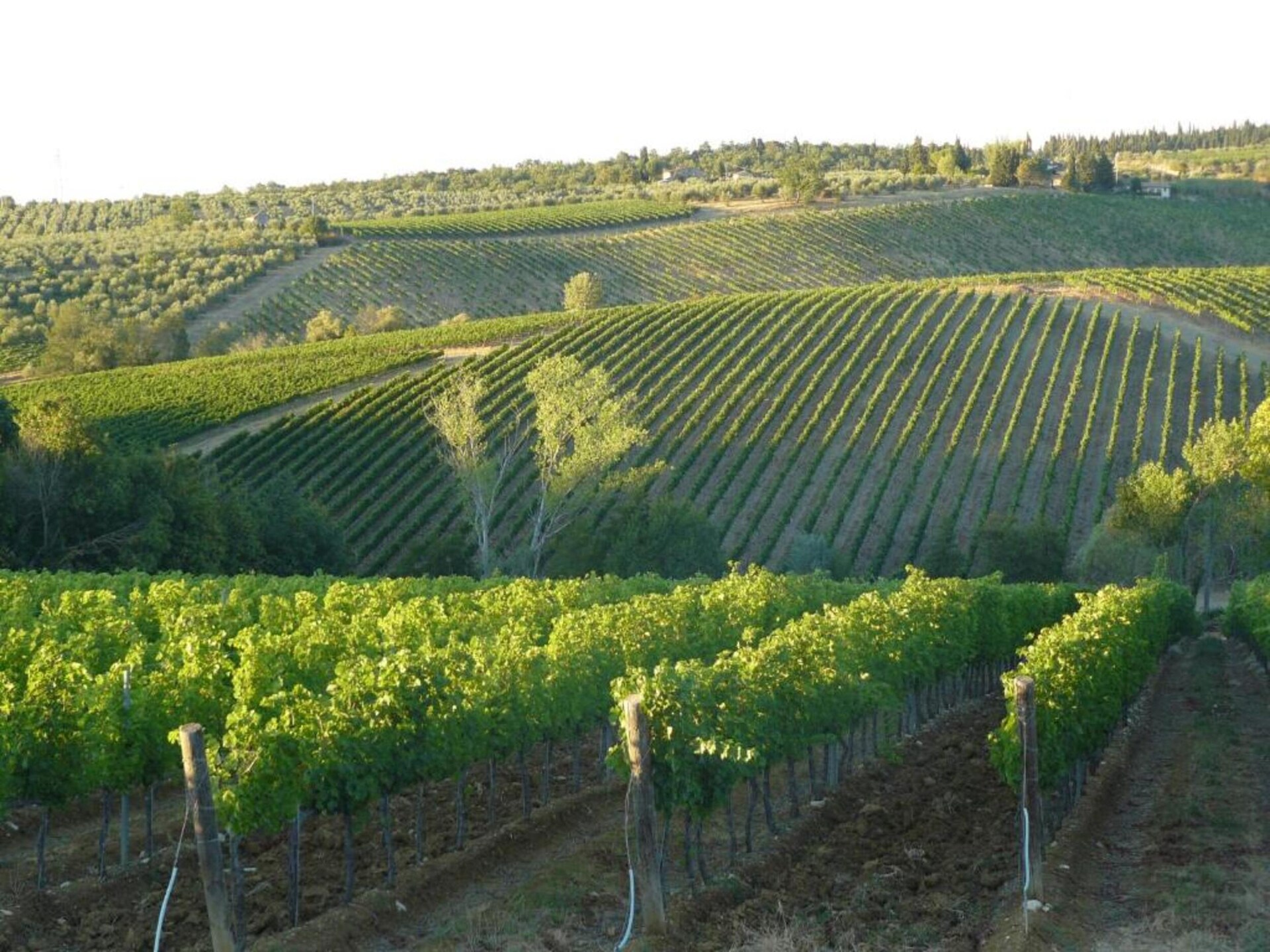 Sfeervol Toscaans appartement Erica in rustig Anghiari - foto 36
