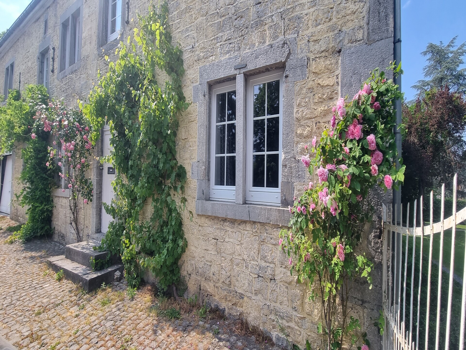 14-persoons wellnessvilla met zwembad in Forrières - foto 38
