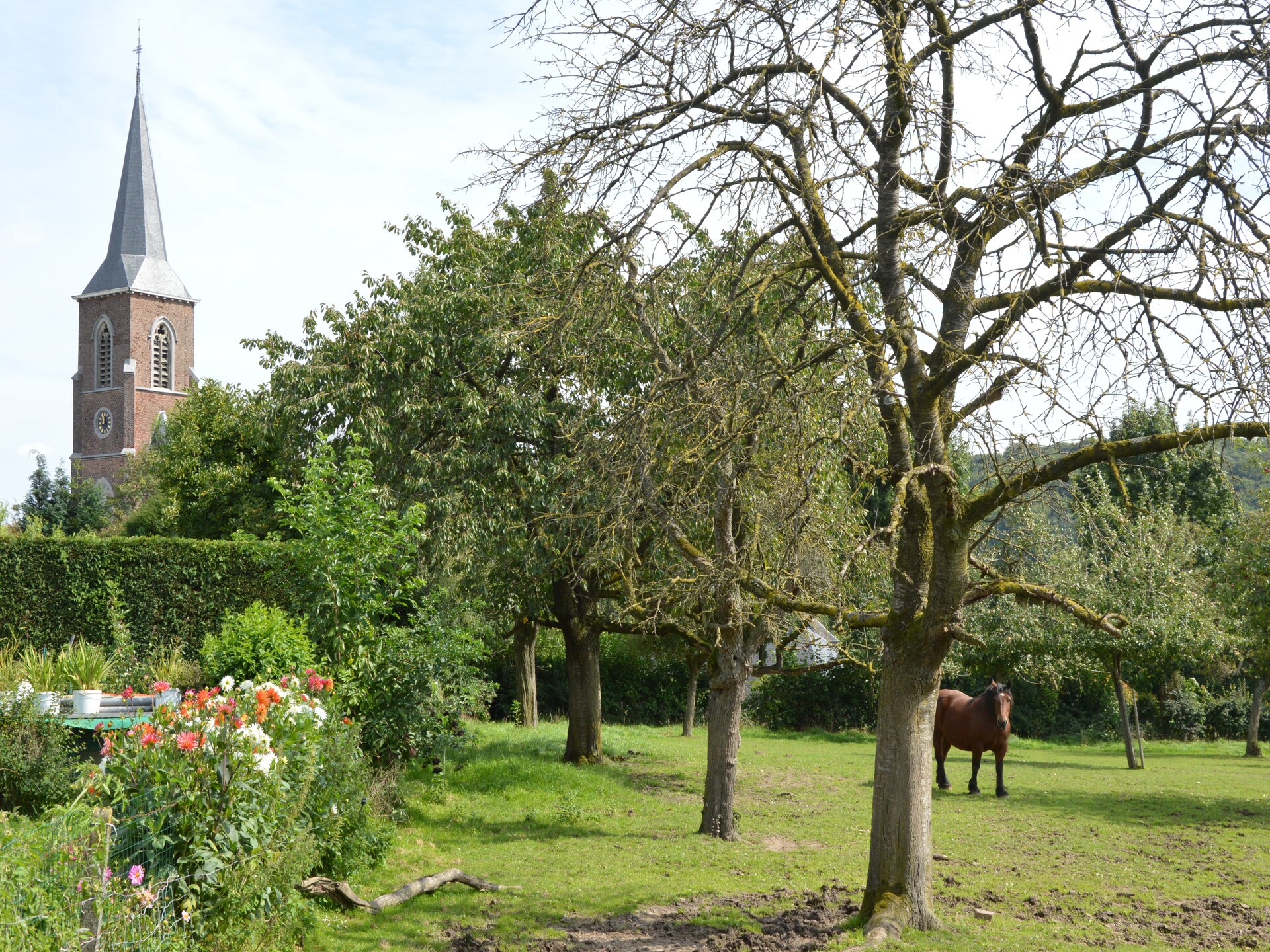 Authentieke boerderij voor 24 personen in het glooiende Teuven, vlakbij Luik - foto 35