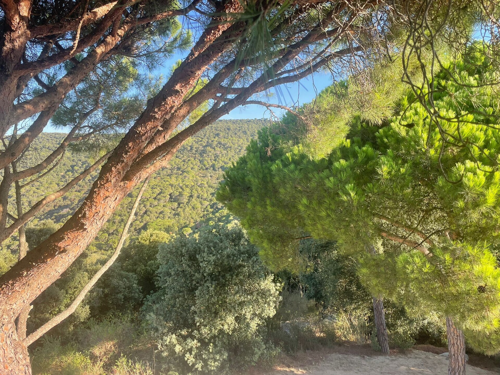 10-persoons vakantiehuis met privézwembad in Sant Andreu de Llavaneres - foto 36