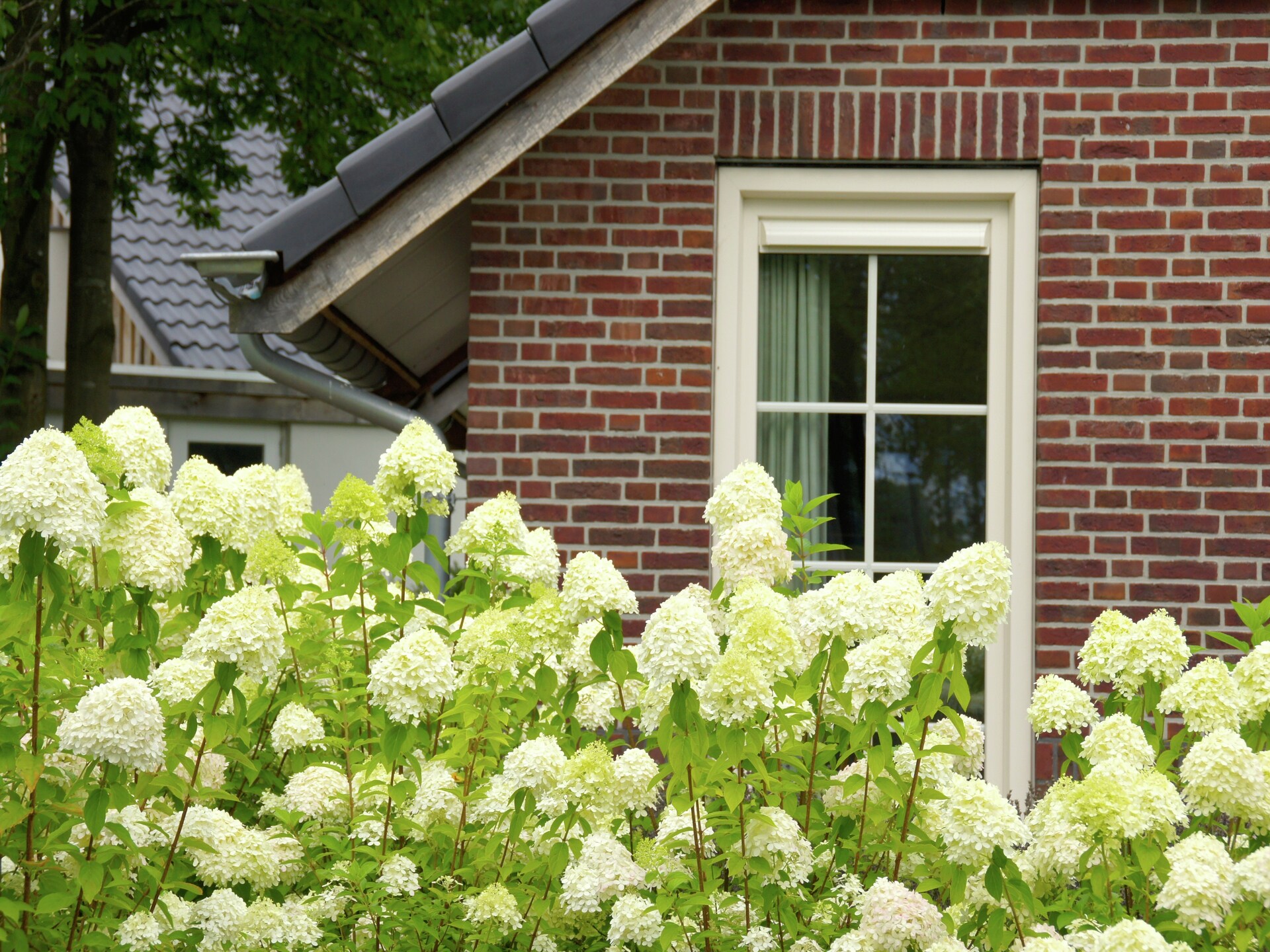 Luxe Twents-Saksische villa met gashaard en wellness op Hof van Salland - foto 36
