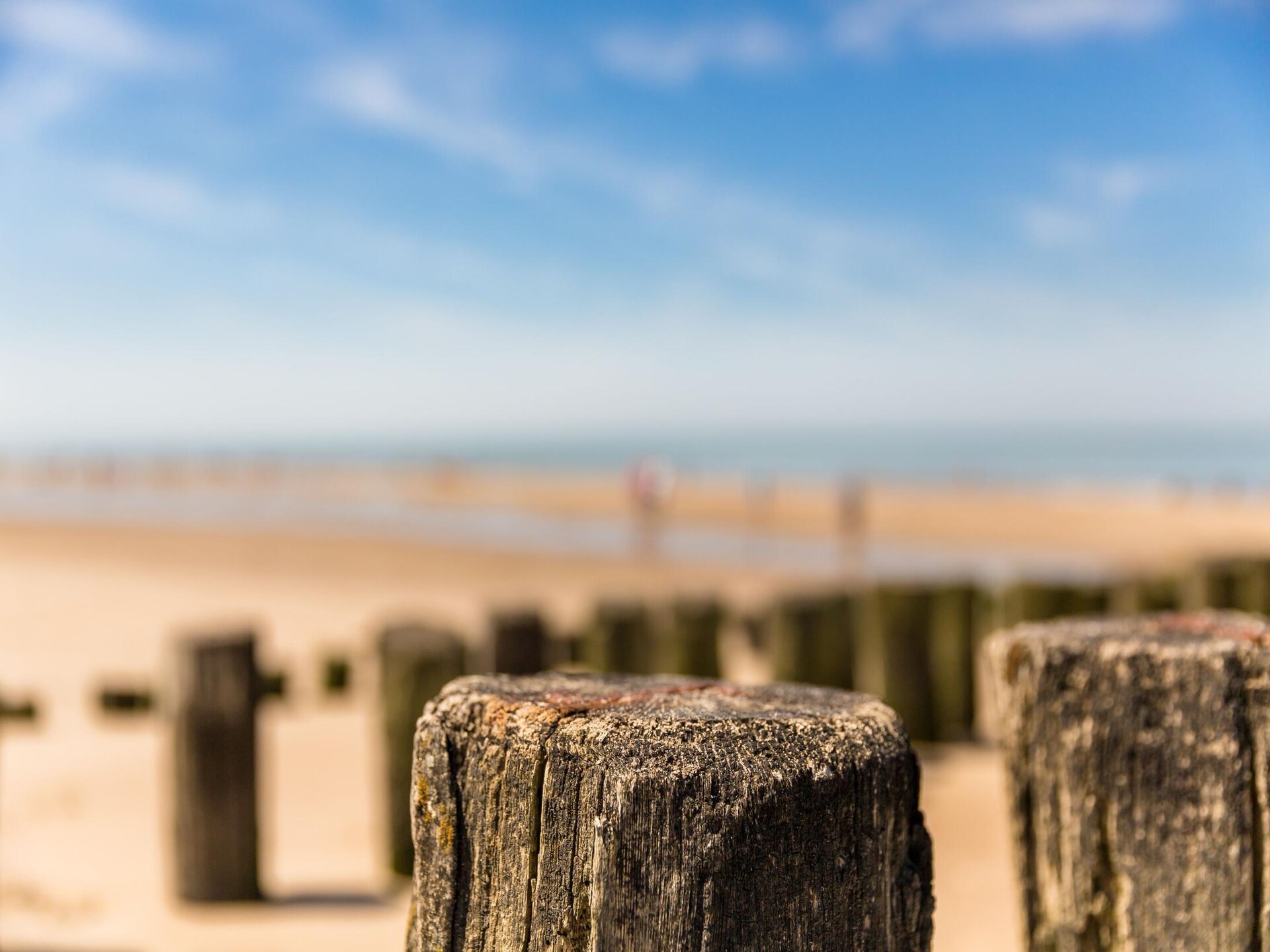 Luxe appartement op 200m van het strand in hartje Domburg - foto 32