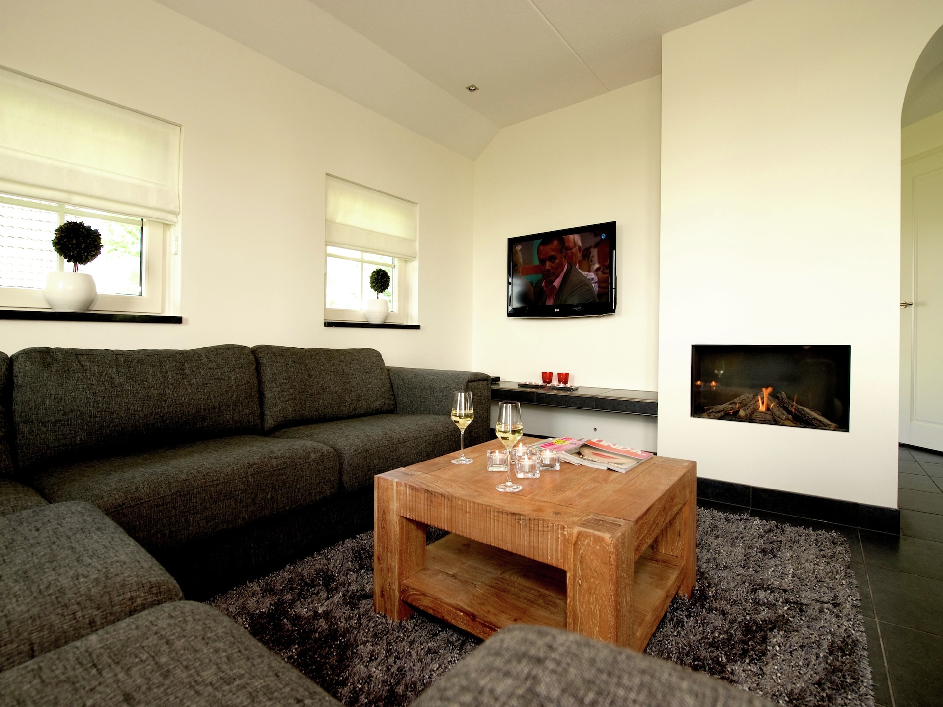 Luxe wellnessvilla op vakantiepark Hof van Salland, hond welkom - foto 2