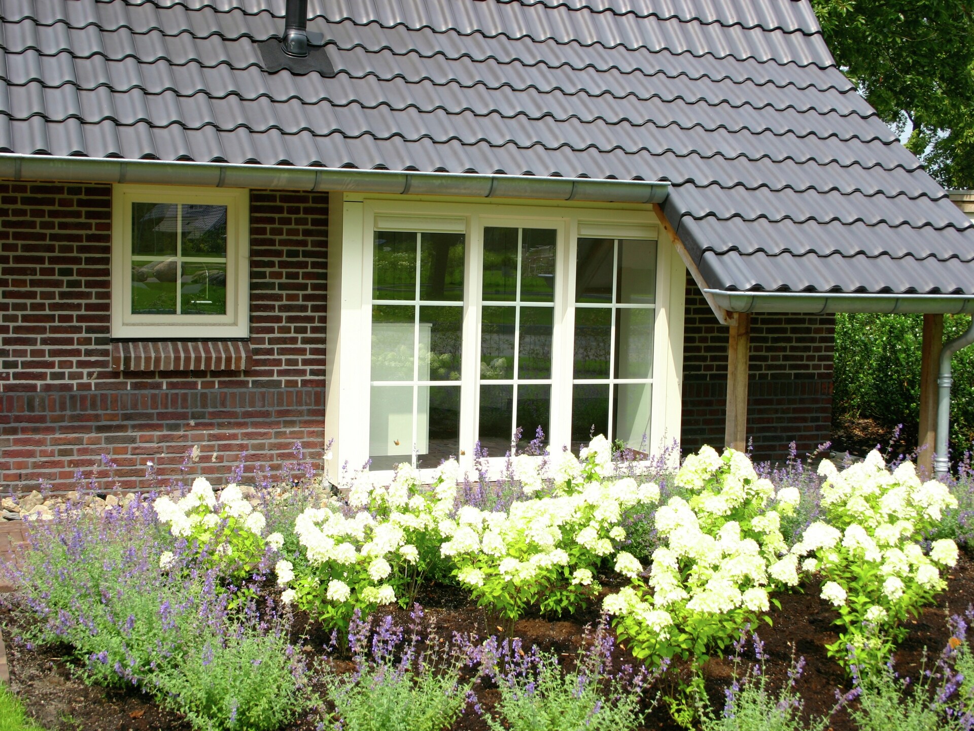 Luxe wellnessvilla op vakantiepark Hof van Salland, hond welkom - foto 12