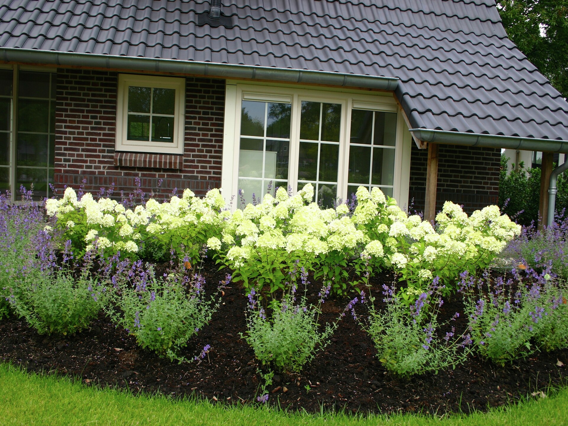 Wellnessvilla Hof van Salland 4: privésauna, haard & hondvriendelijk in Twente - foto 15