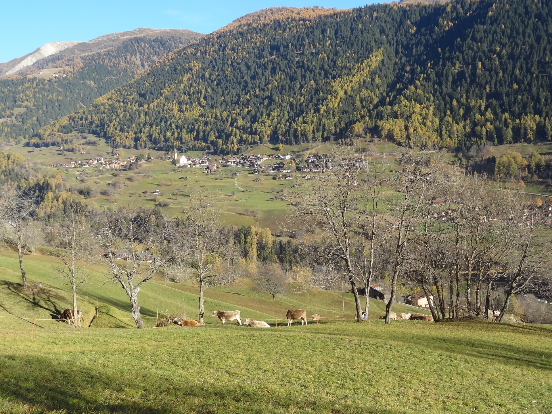 Zonnig chalet in Fiesch met panoramisch bergzicht en eigen tuin - foto 16