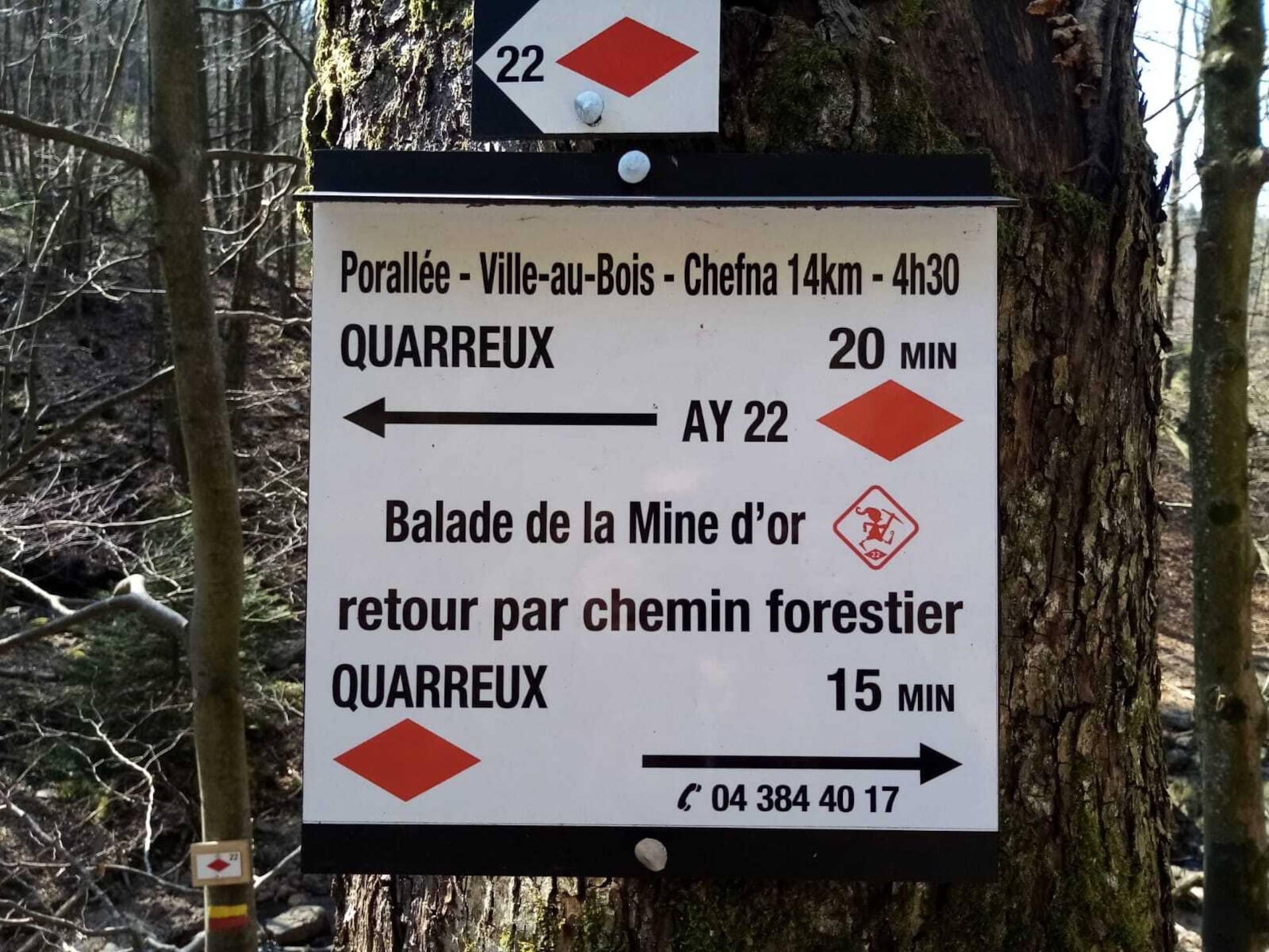 Knus boshuisje voor 2 met terras en barbecue in Sougné-Remouchamps - foto 31