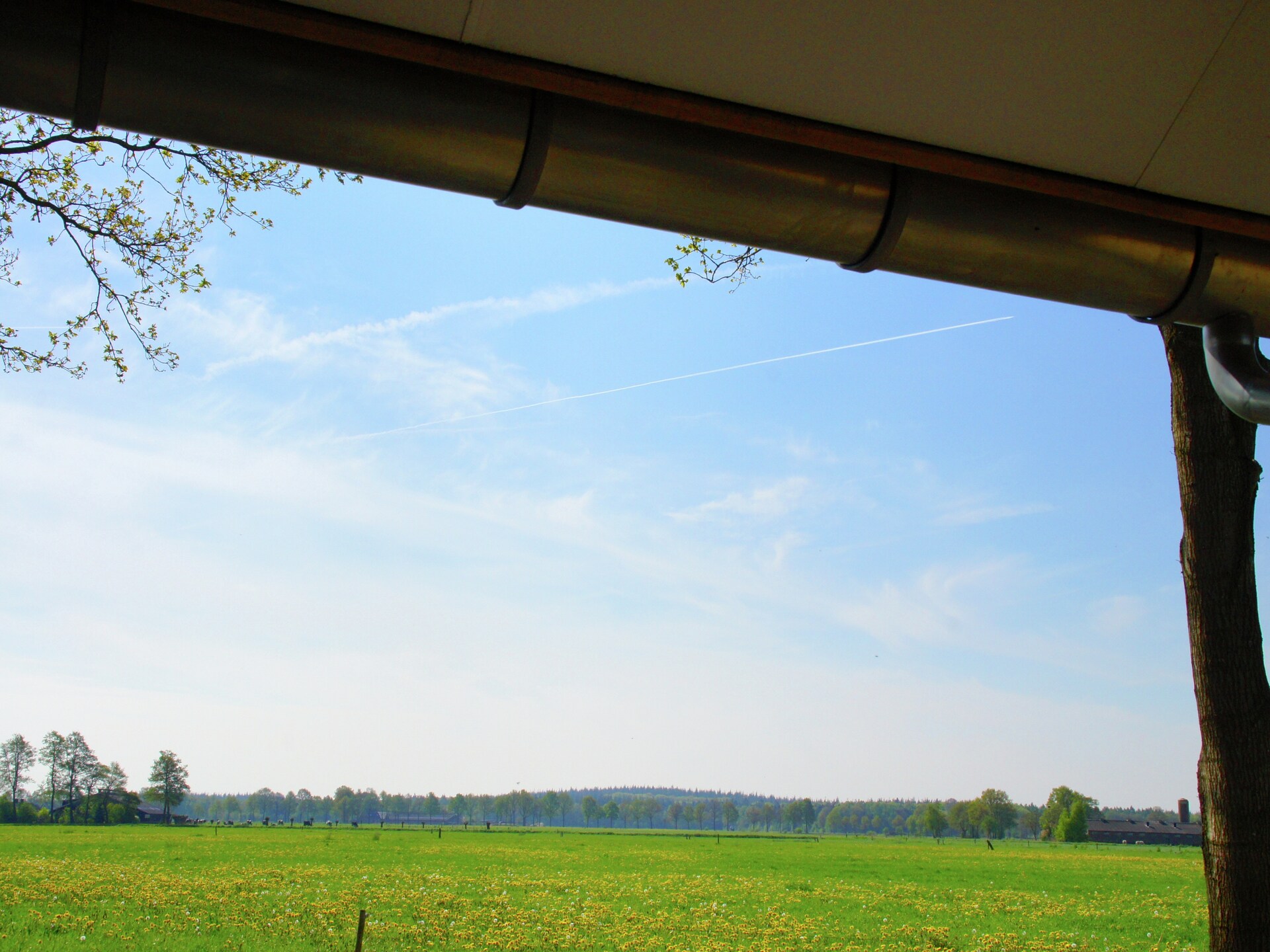 Luxe Twents-Saksische villa met gashaard en bubbelbad in Hof van Salland - foto 8