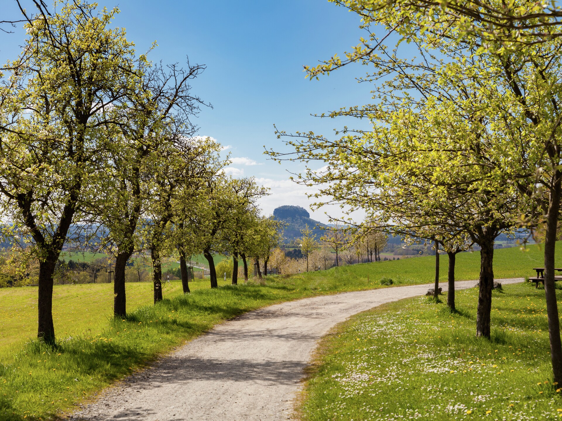 Knus vakantiehuis voor 2 in Mittelndorf, Sächsische Schweiz - foto 25