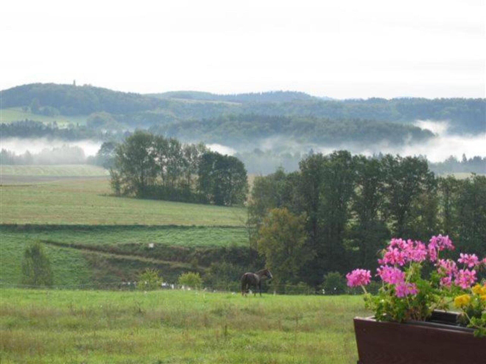 Knus vakantiehuis voor 2 in Mittelndorf, Sächsische Schweiz - foto 27
