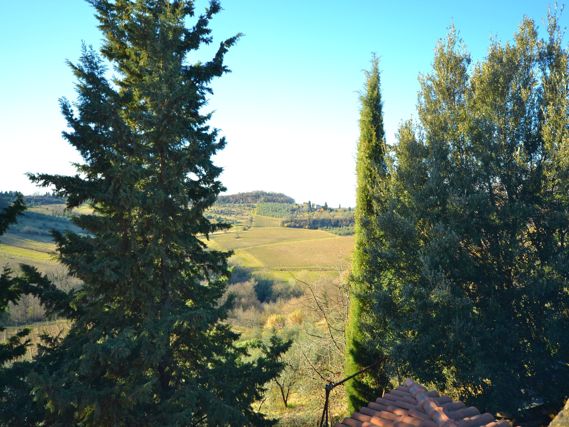 Bosrijk vakantiehuis Il Camino met tuin, BBQ en WiFi in Montespertoli - foto 9