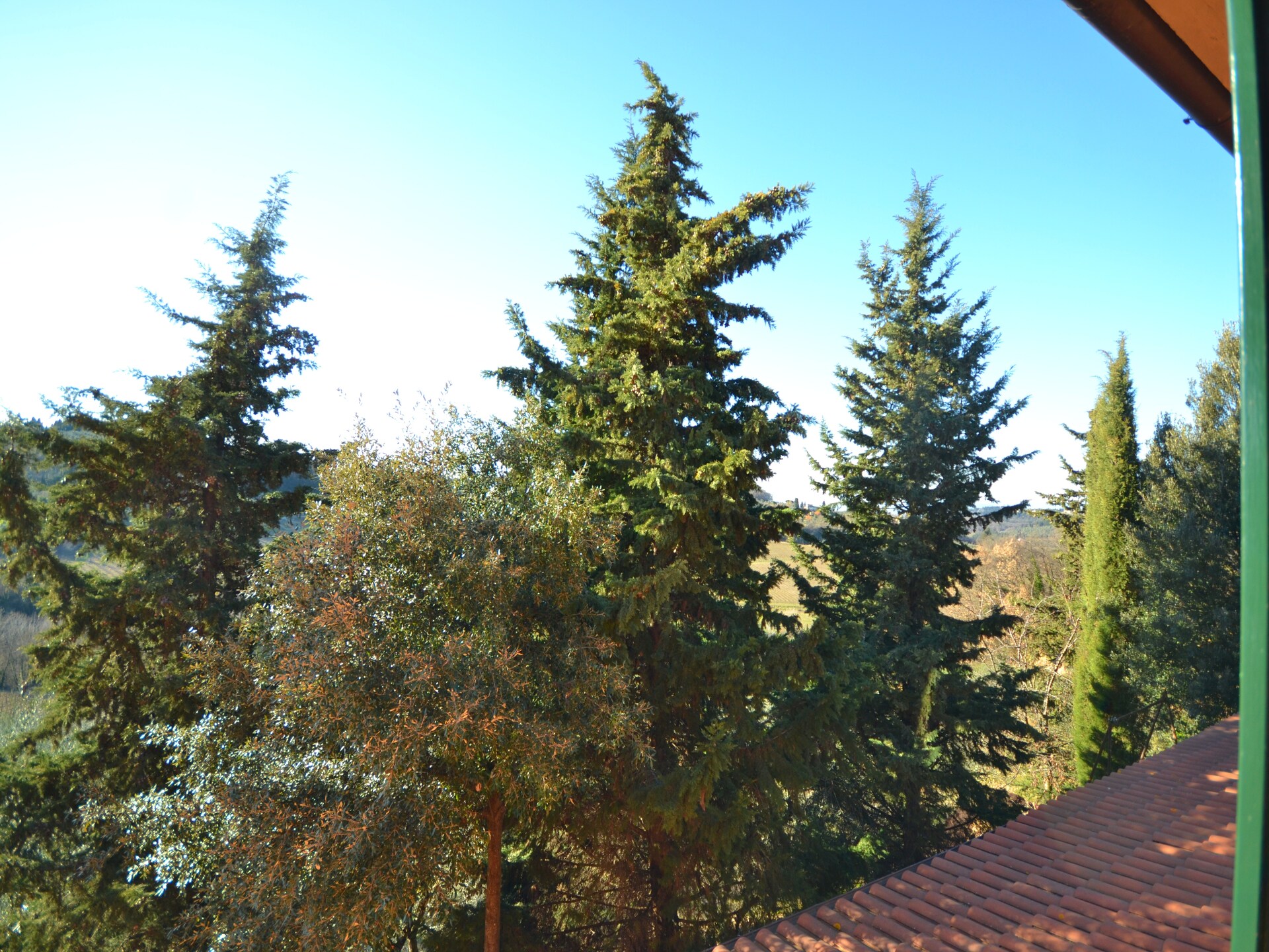 Bosrijk vakantiehuis Il Camino met tuin, BBQ en WiFi in Montespertoli - foto 10