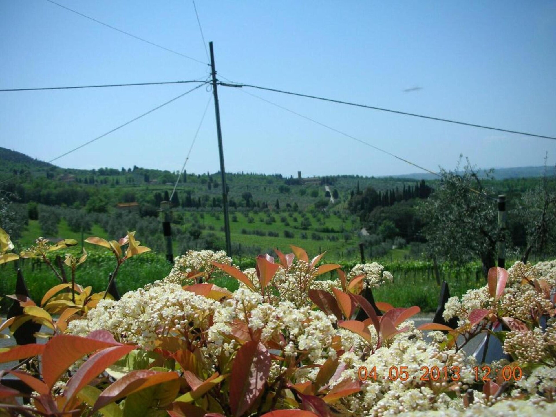 Bosrijk vakantiehuis Il Camino met tuin, BBQ en WiFi in Montespertoli - foto 30