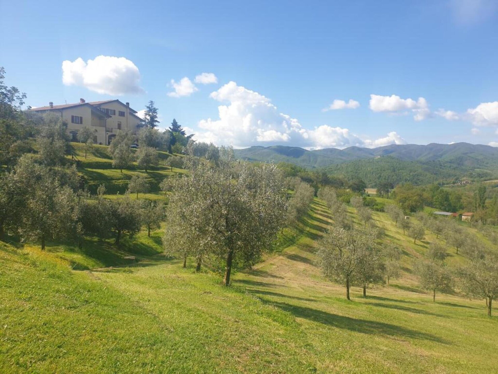 Bosrijk vakantiehuis Il Camino met tuin, BBQ en WiFi in Montespertoli - foto 39