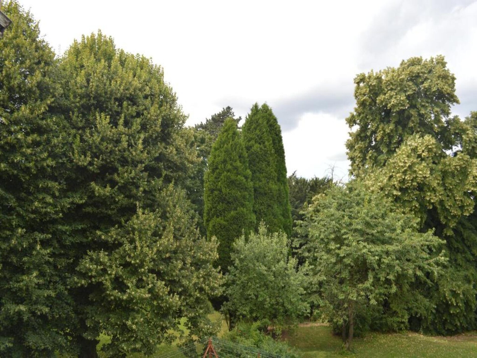 Ruim vakantiehuis voor 8 personen met 4 privébadkamers in Glabbeek - foto 32