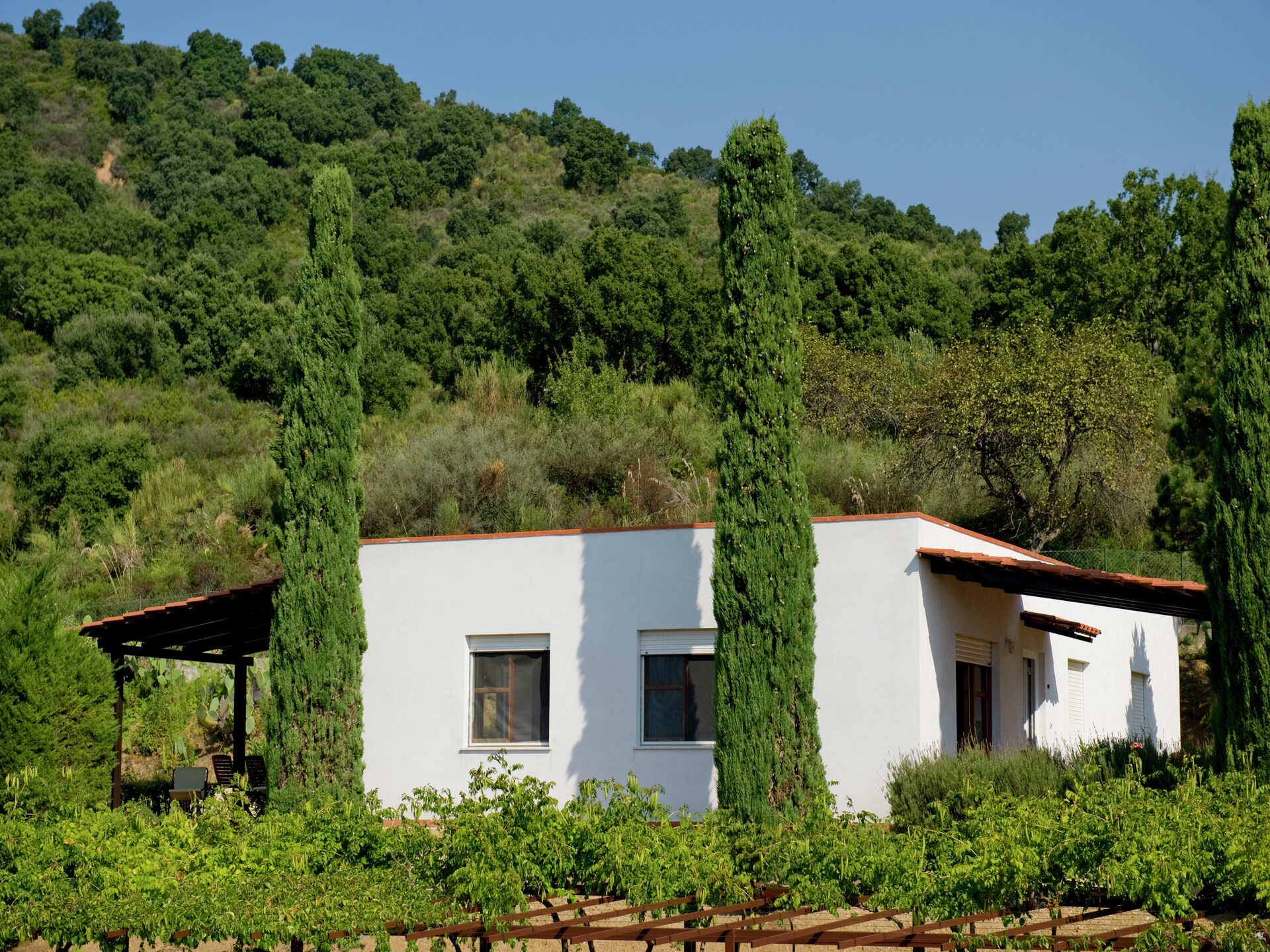 Casa Gialla: Knus vakantiehuis in Cilento, 2 km van zee - foto 9