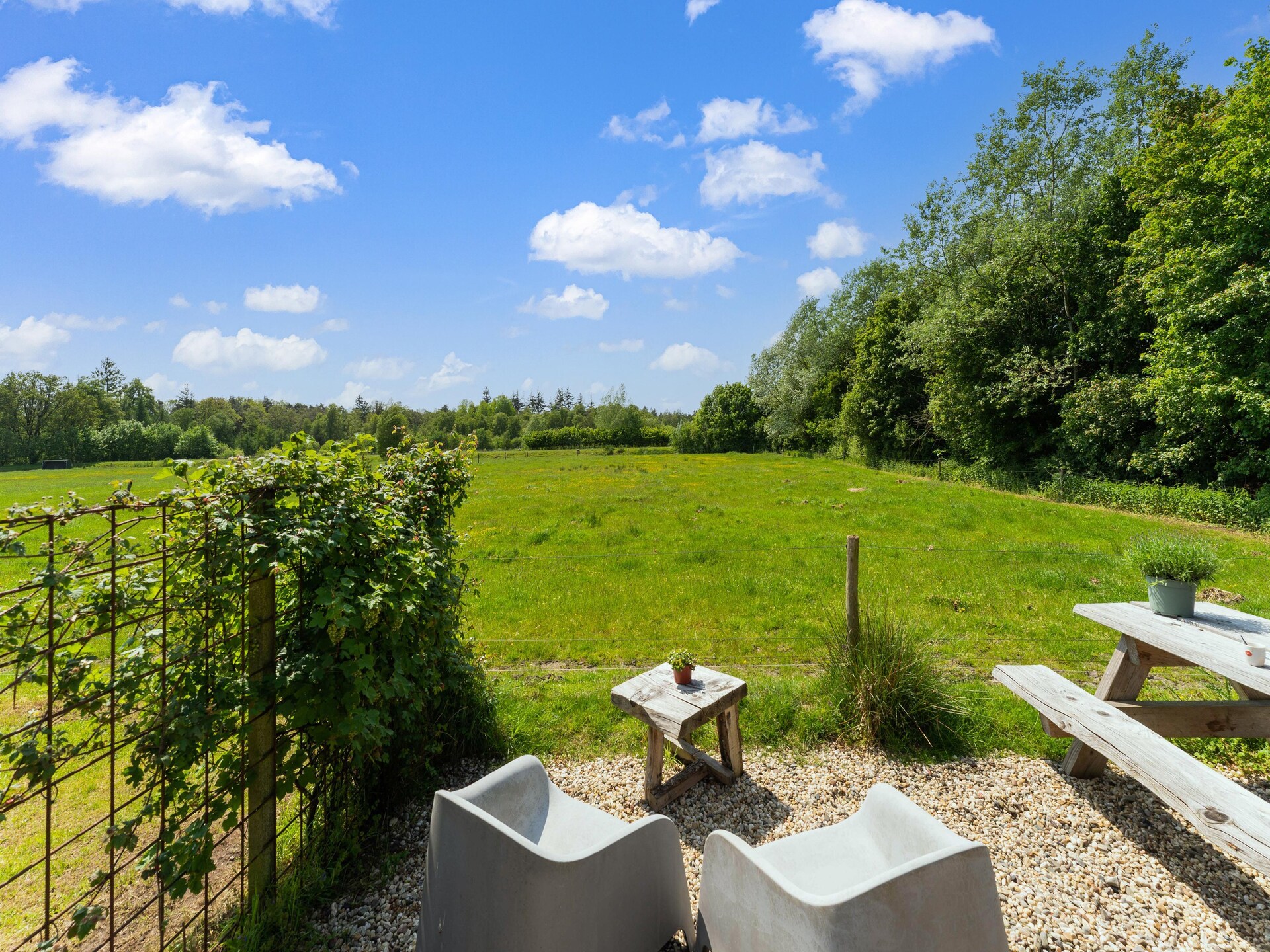 Vrijstaand natuurhuis in Nationaal Park Dwingelderveld met uitzicht op heide - foto 33