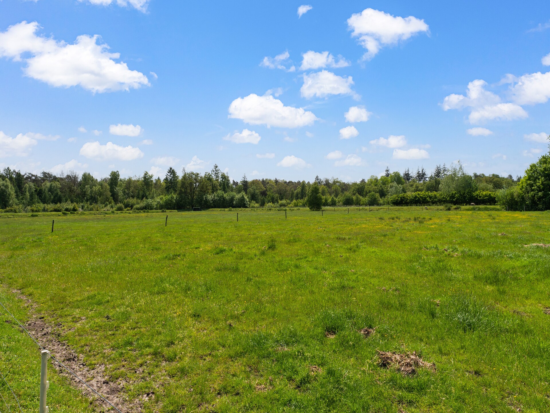 Vrijstaand natuurhuis in Nationaal Park Dwingelderveld met uitzicht op heide - foto 37