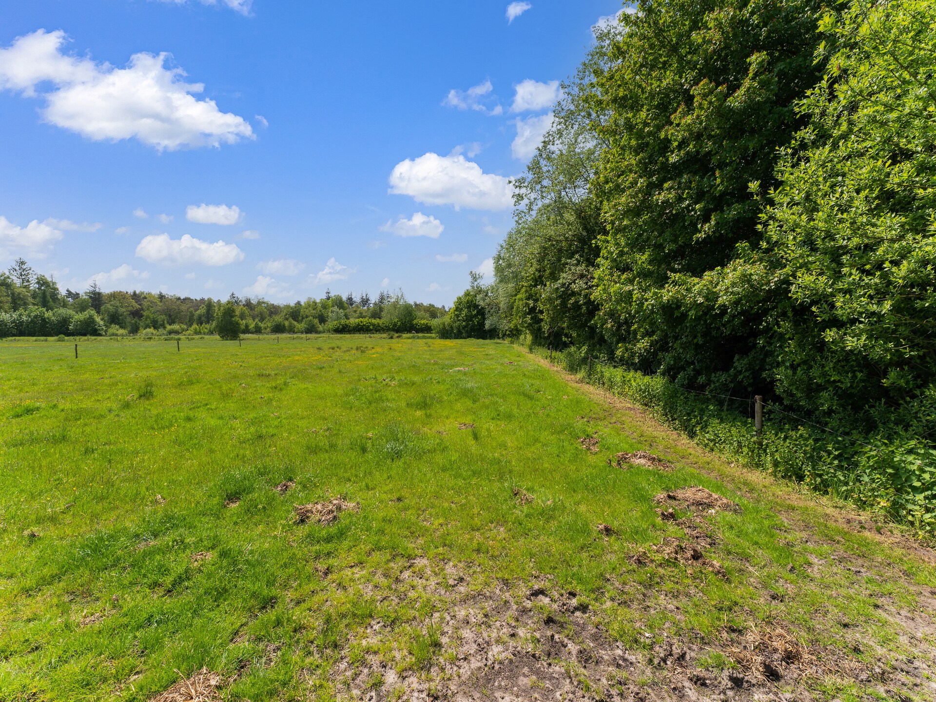 Vrijstaand natuurhuis in Nationaal Park Dwingelderveld met uitzicht op heide - foto 38