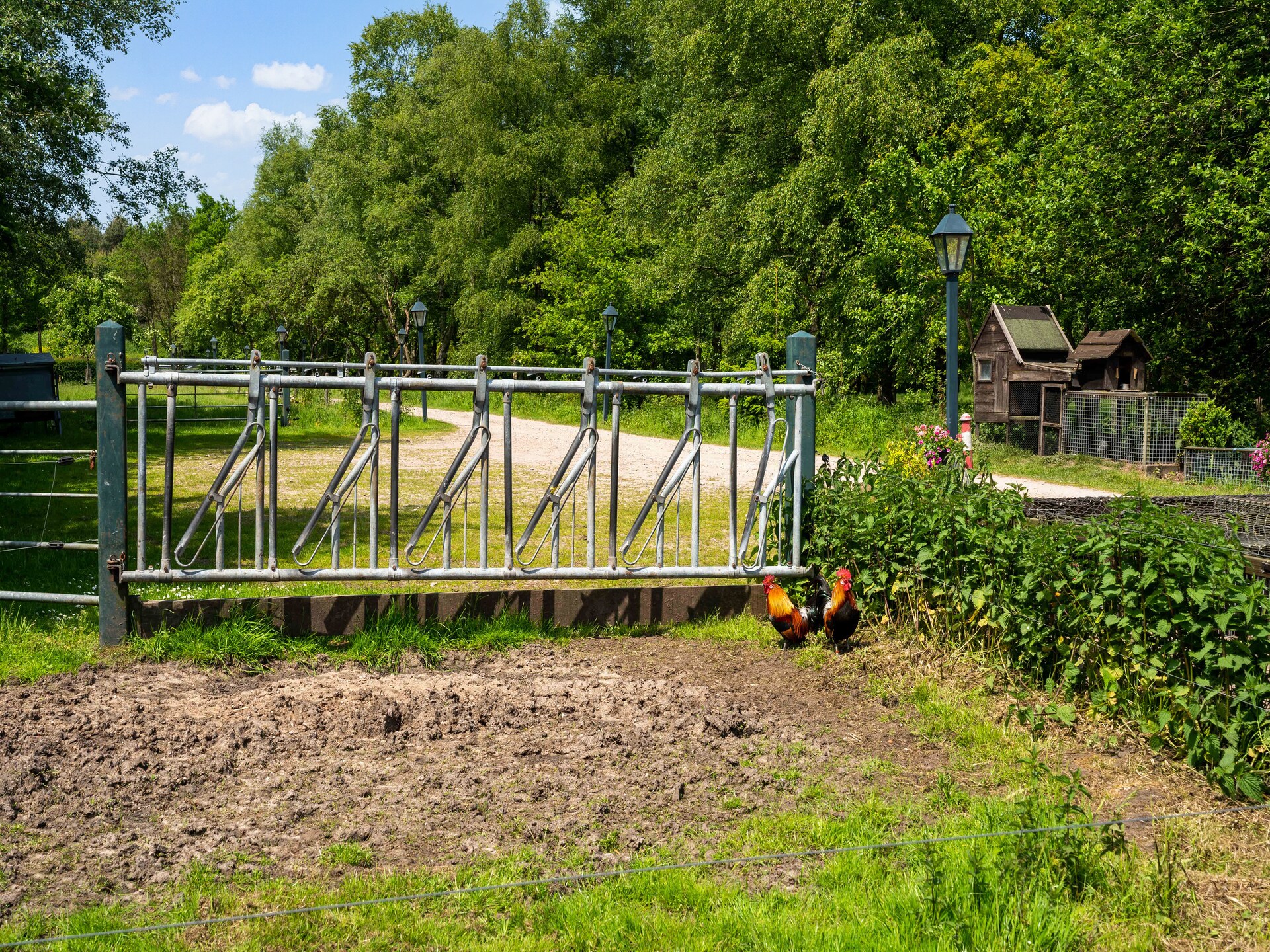 Vrijstaand natuurhuis in Nationaal Park Dwingelderveld met uitzicht op heide - foto 34