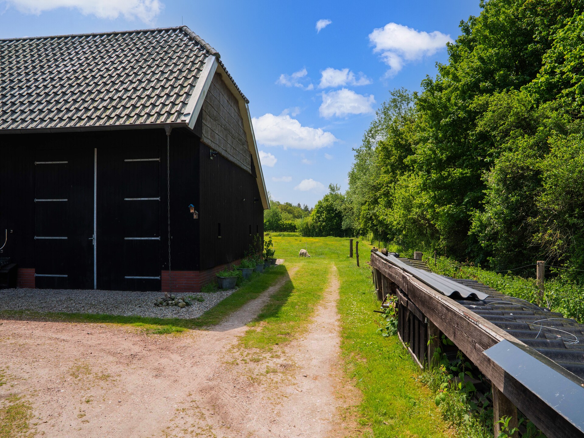 Vrijstaand natuurhuis in Nationaal Park Dwingelderveld met uitzicht op heide - foto 7