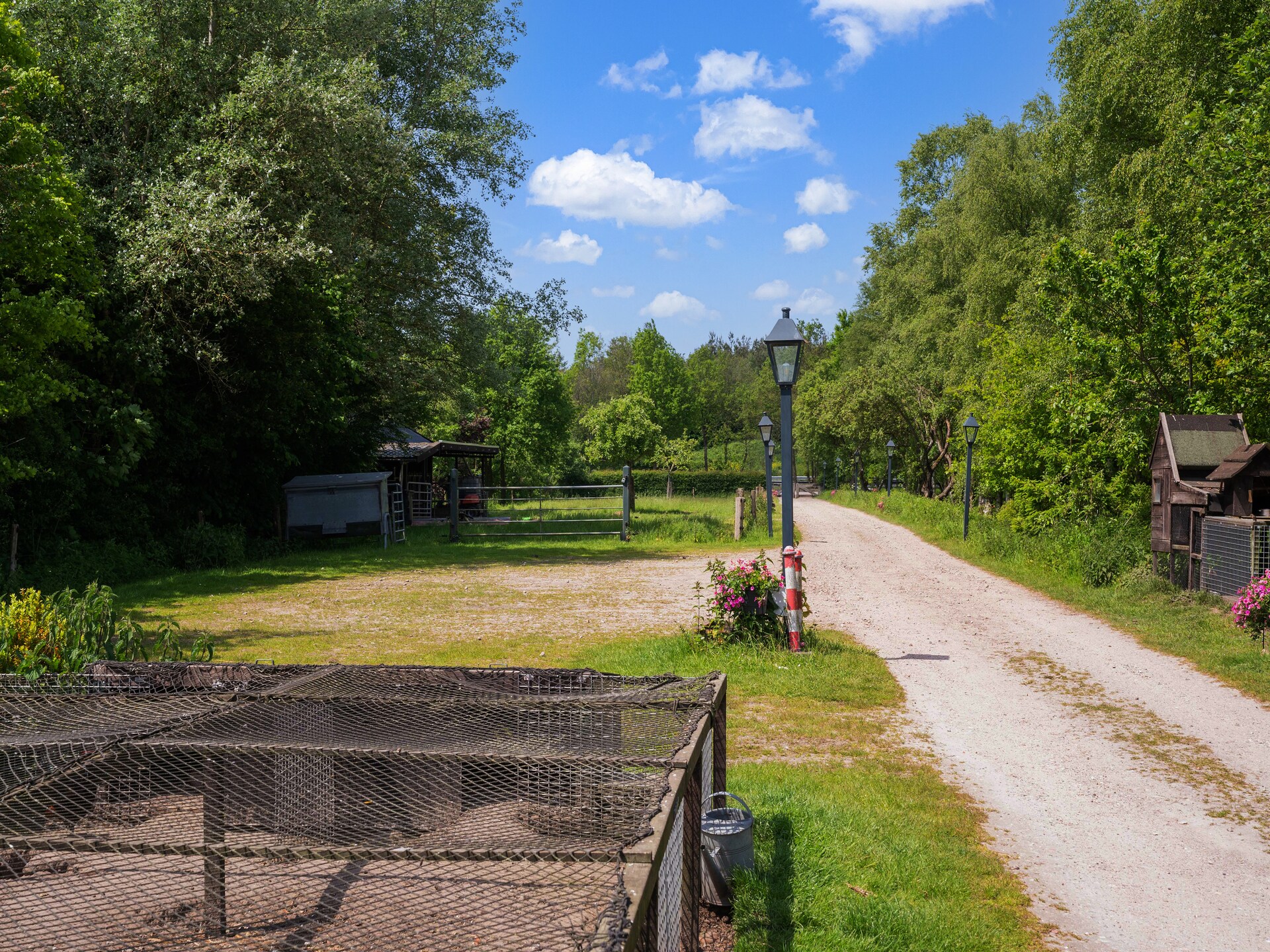 Vrijstaand natuurhuis in Nationaal Park Dwingelderveld met uitzicht op heide - foto 36