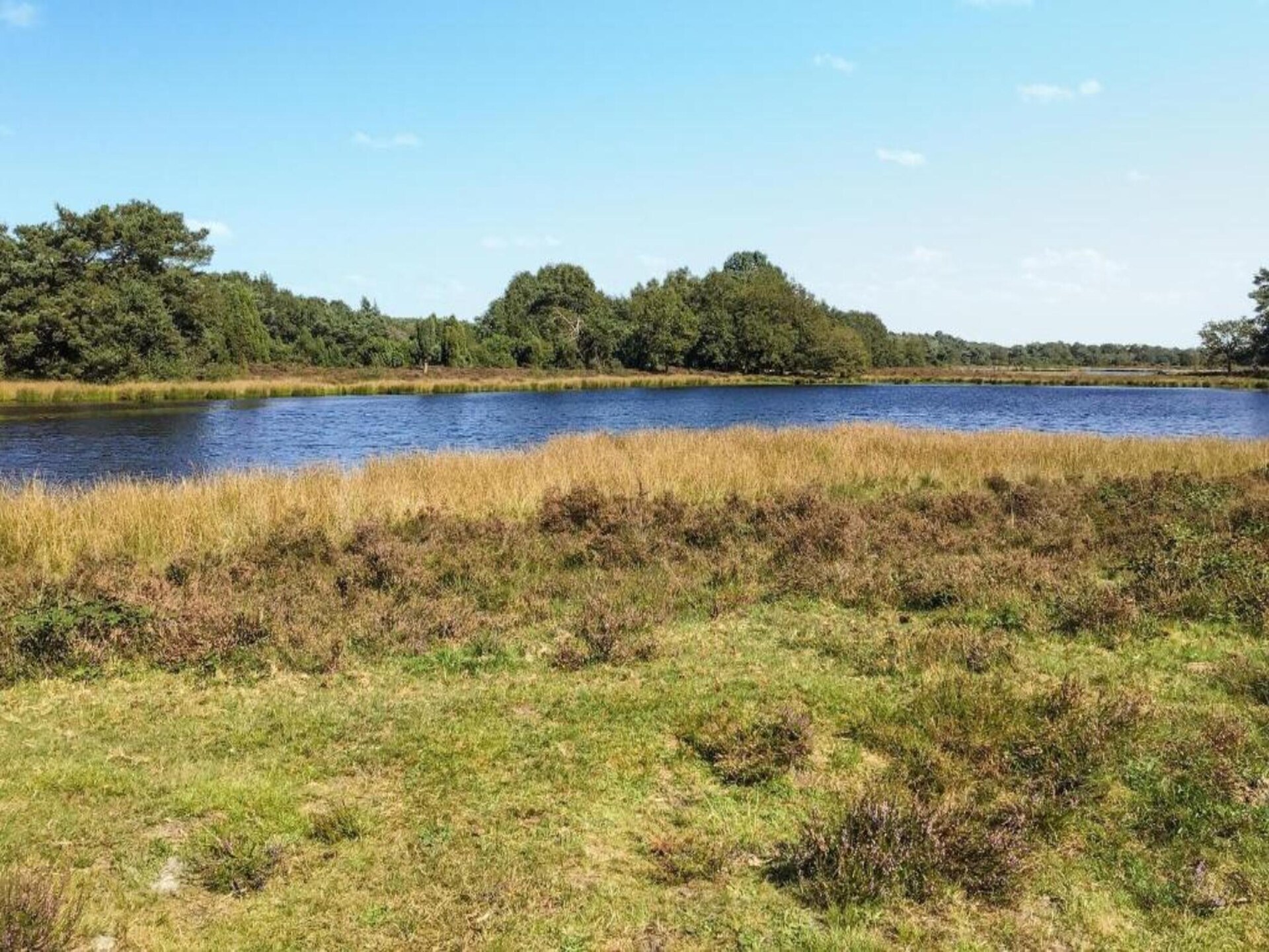 Vrijstaand natuurhuis in Nationaal Park Dwingelderveld met uitzicht op heide - foto 39
