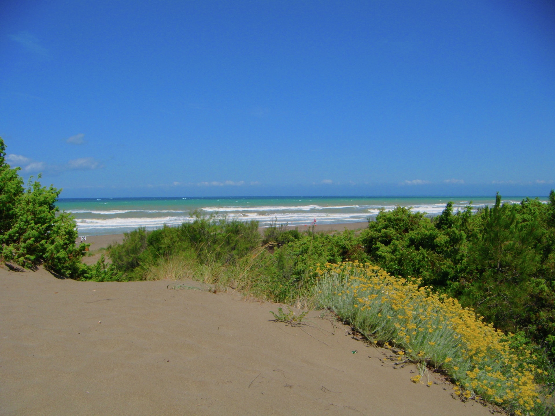 Centraal gelegen vakantiehuis in Castagneto Carducci nabij strand - foto 21