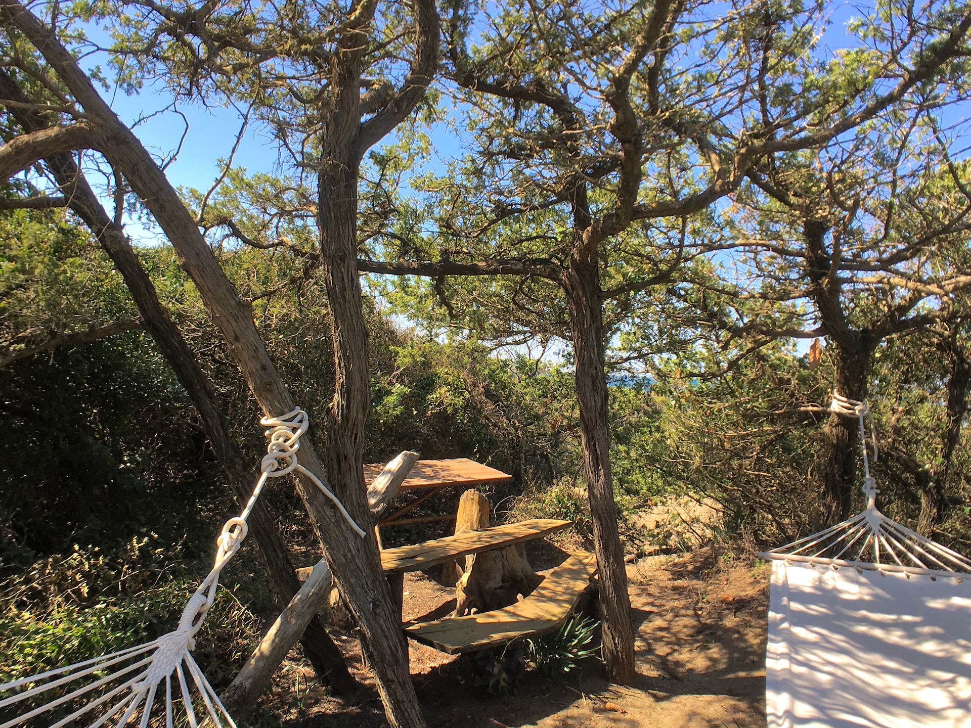 Centraal gelegen vakantiehuis in Castagneto Carducci nabij strand - foto 15