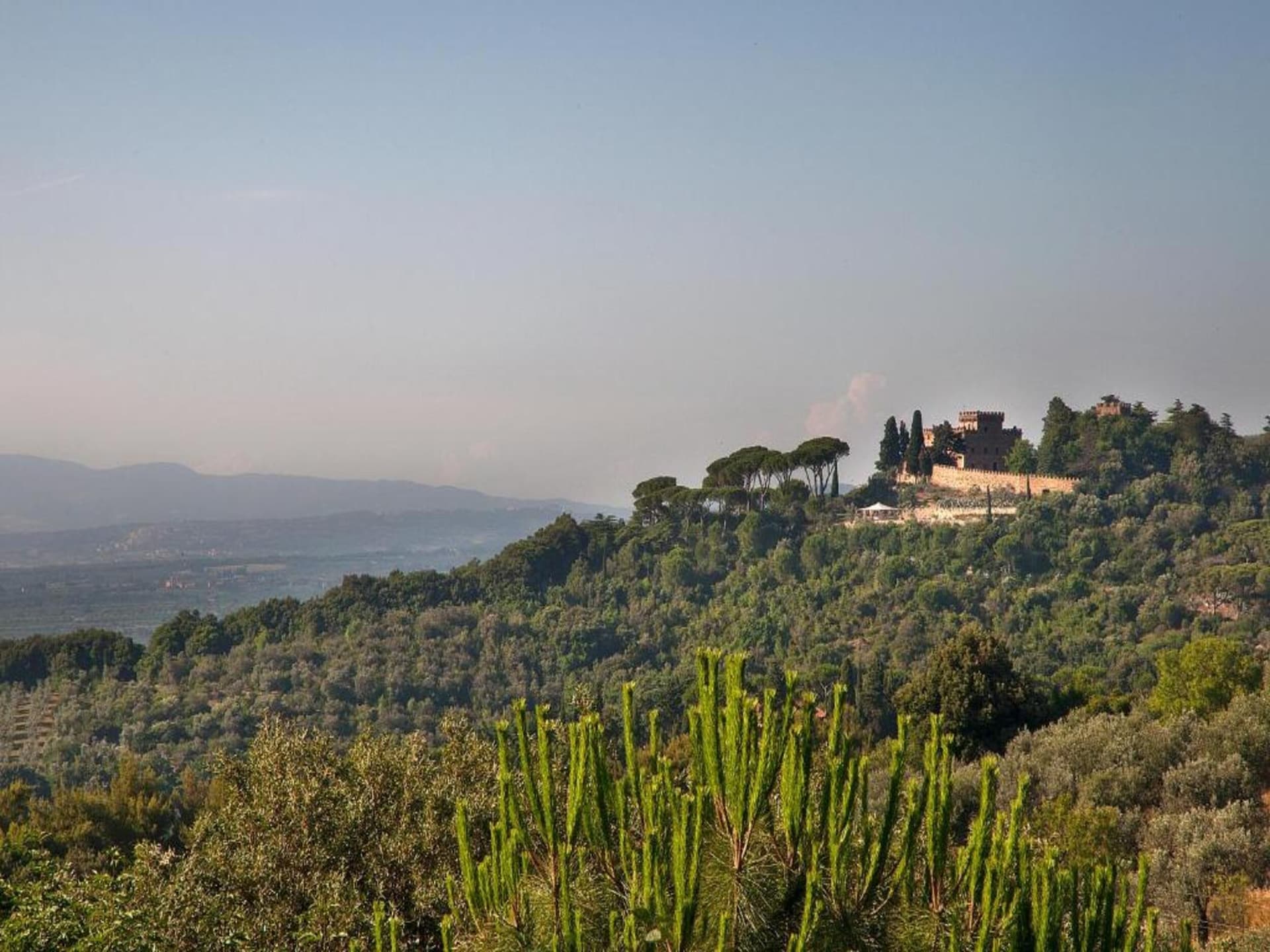 Centraal gelegen vakantiehuis in Castagneto Carducci nabij strand - foto 29