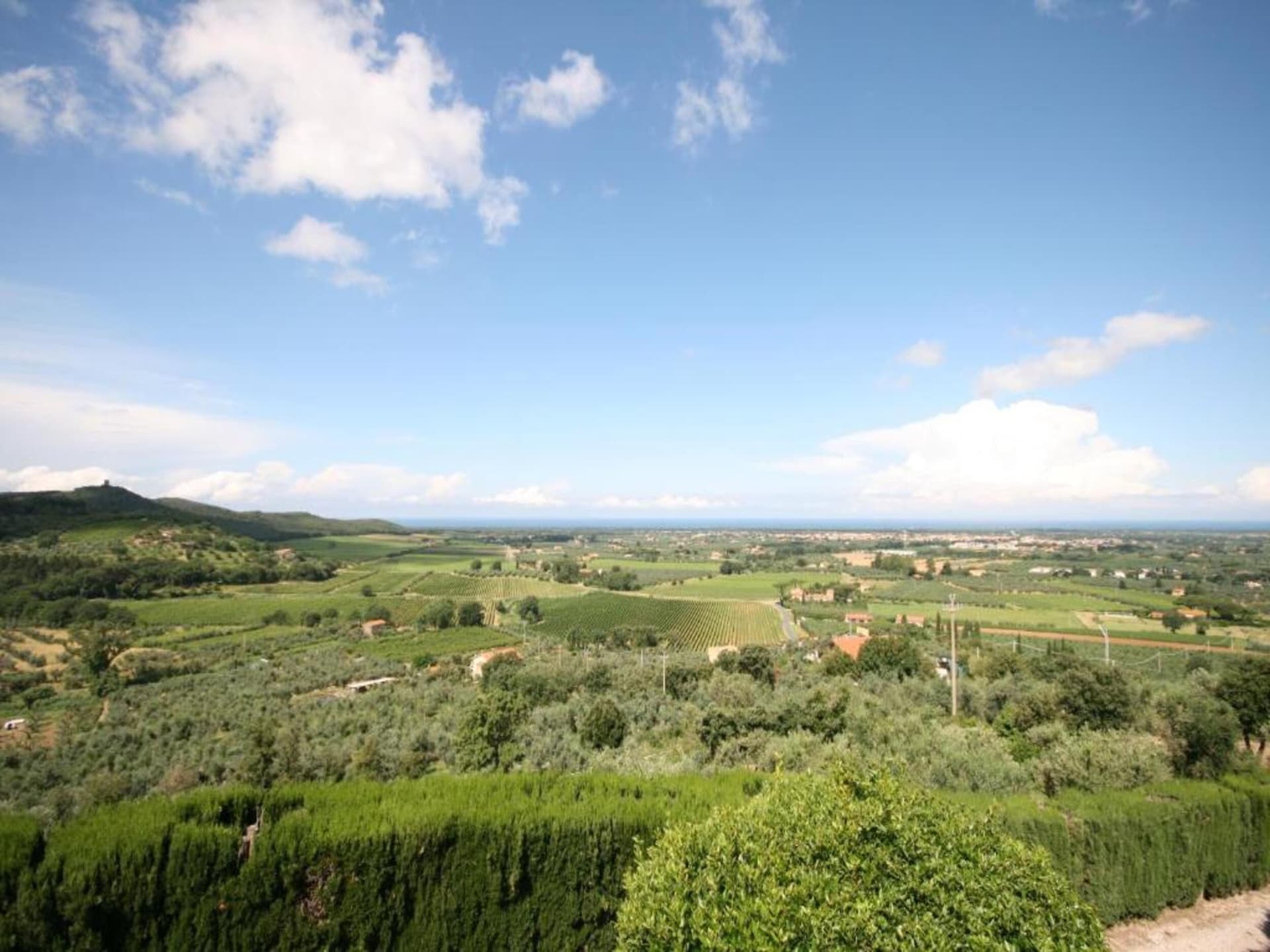 Centraal gelegen vakantiehuis in Castagneto Carducci nabij strand - foto 31