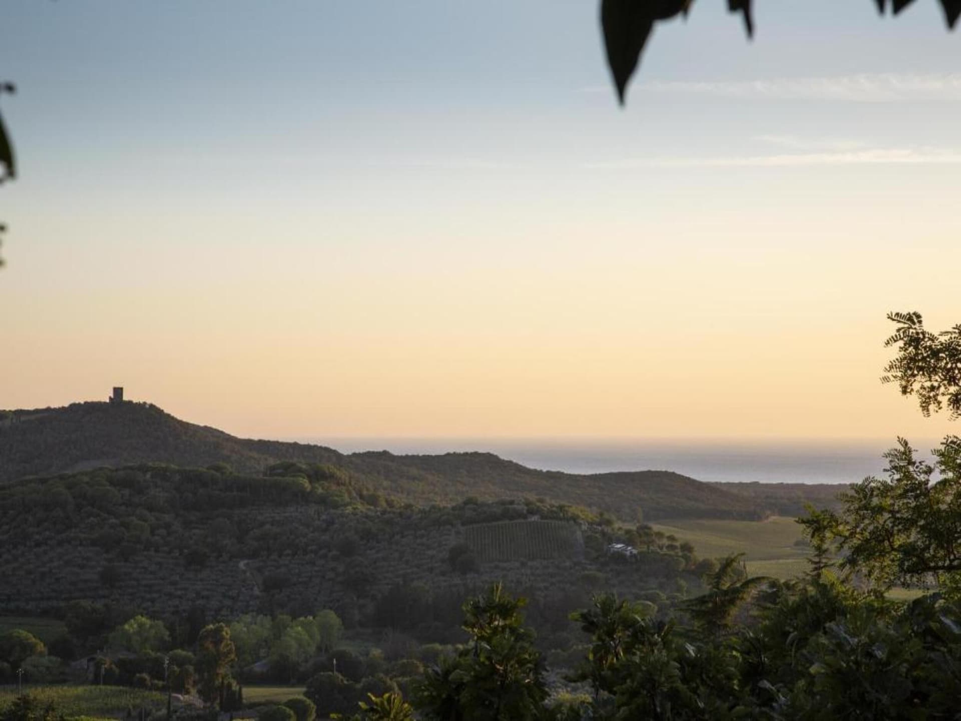 Centraal gelegen vakantiehuis in Castagneto Carducci nabij strand - foto 33