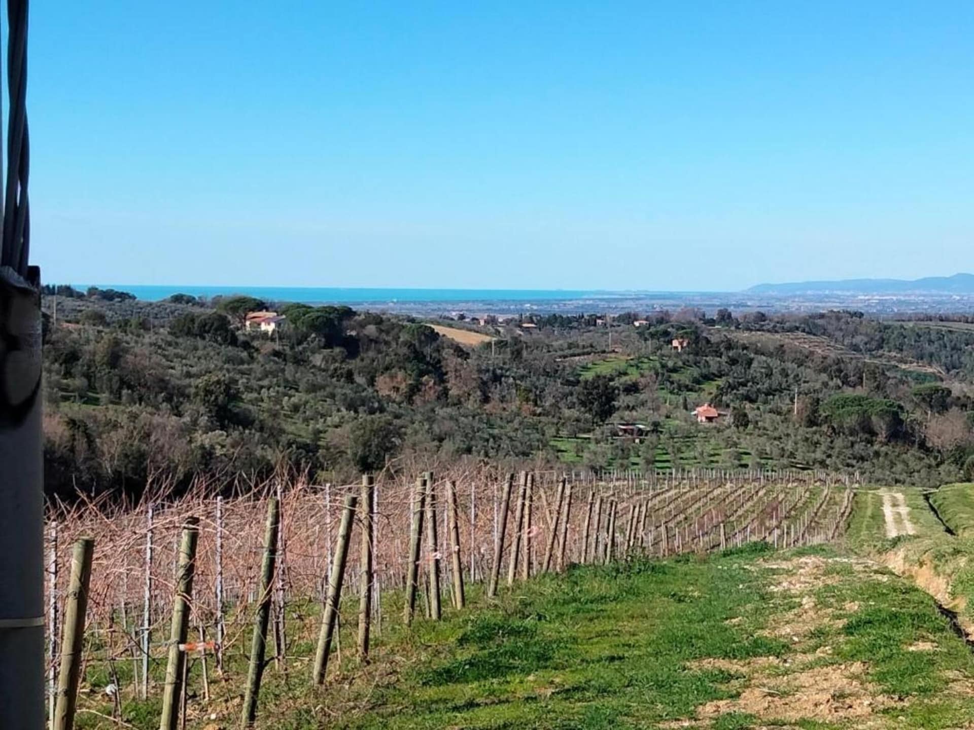 Centraal gelegen vakantiehuis in Castagneto Carducci nabij strand - foto 34