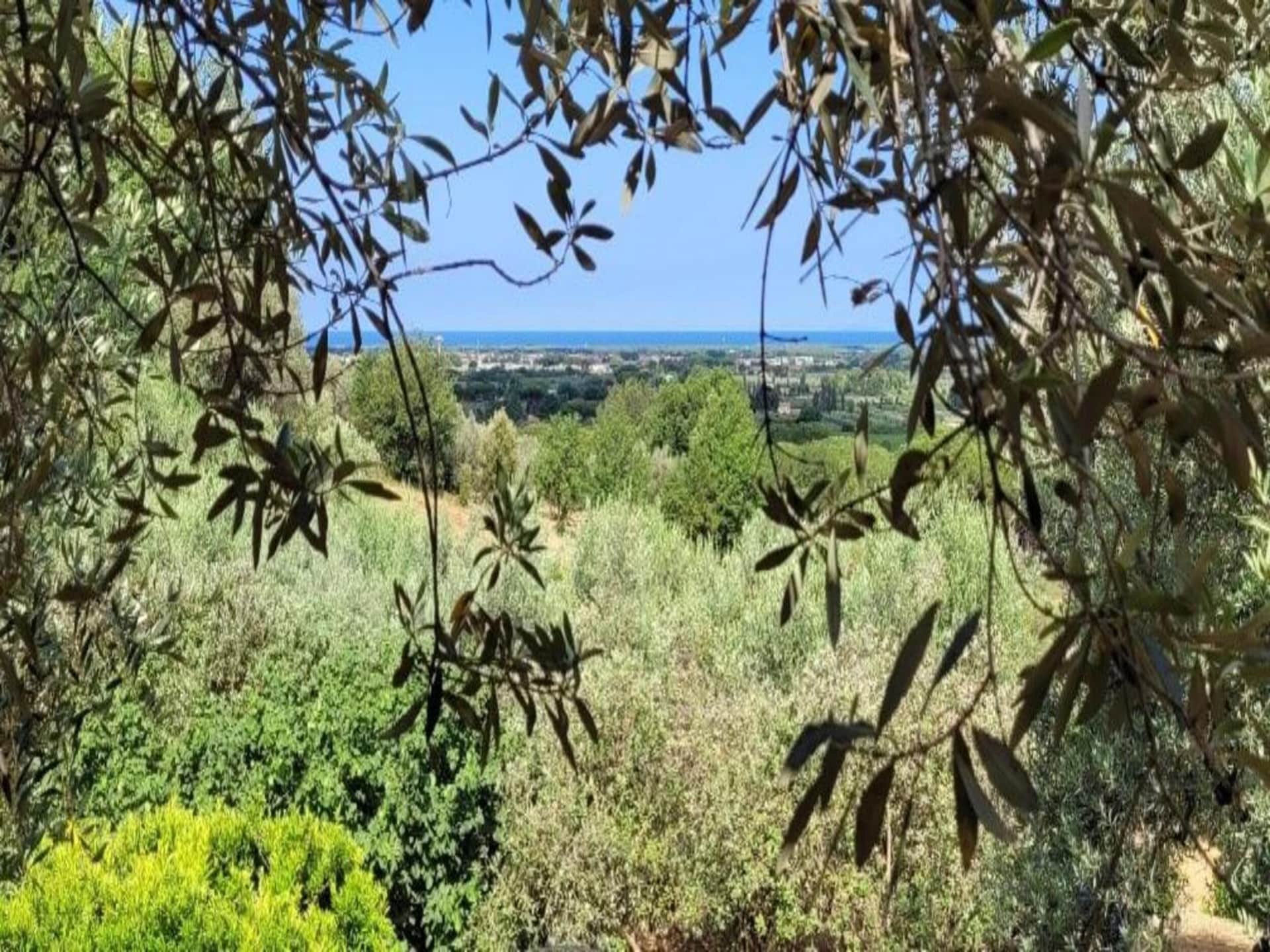 Centraal gelegen vakantiehuis in Castagneto Carducci nabij strand - foto 35