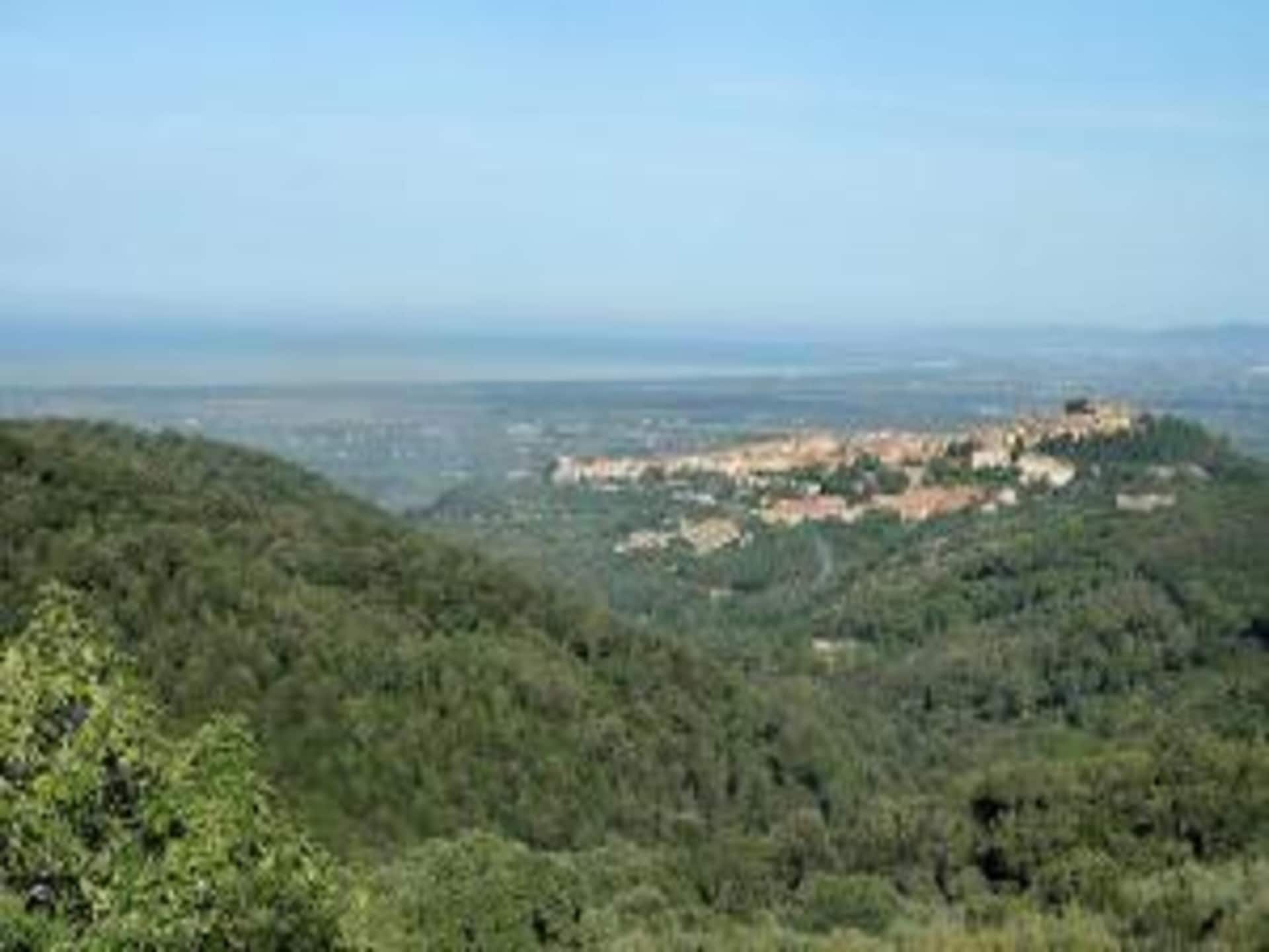 Centraal gelegen vakantiehuis in Castagneto Carducci nabij strand - foto 36