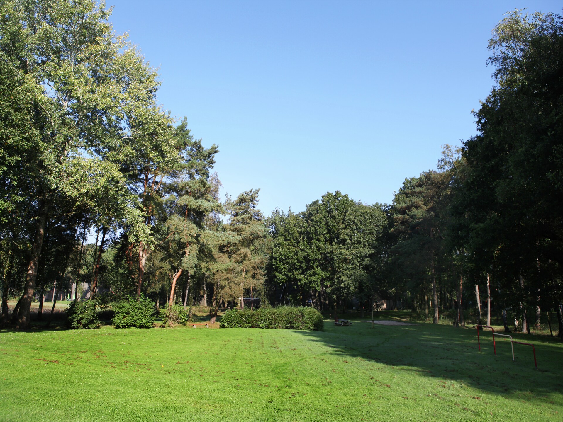 Knusse bosbungalow voor 3 personen in hartje natuurgebied Stramproy - foto 30